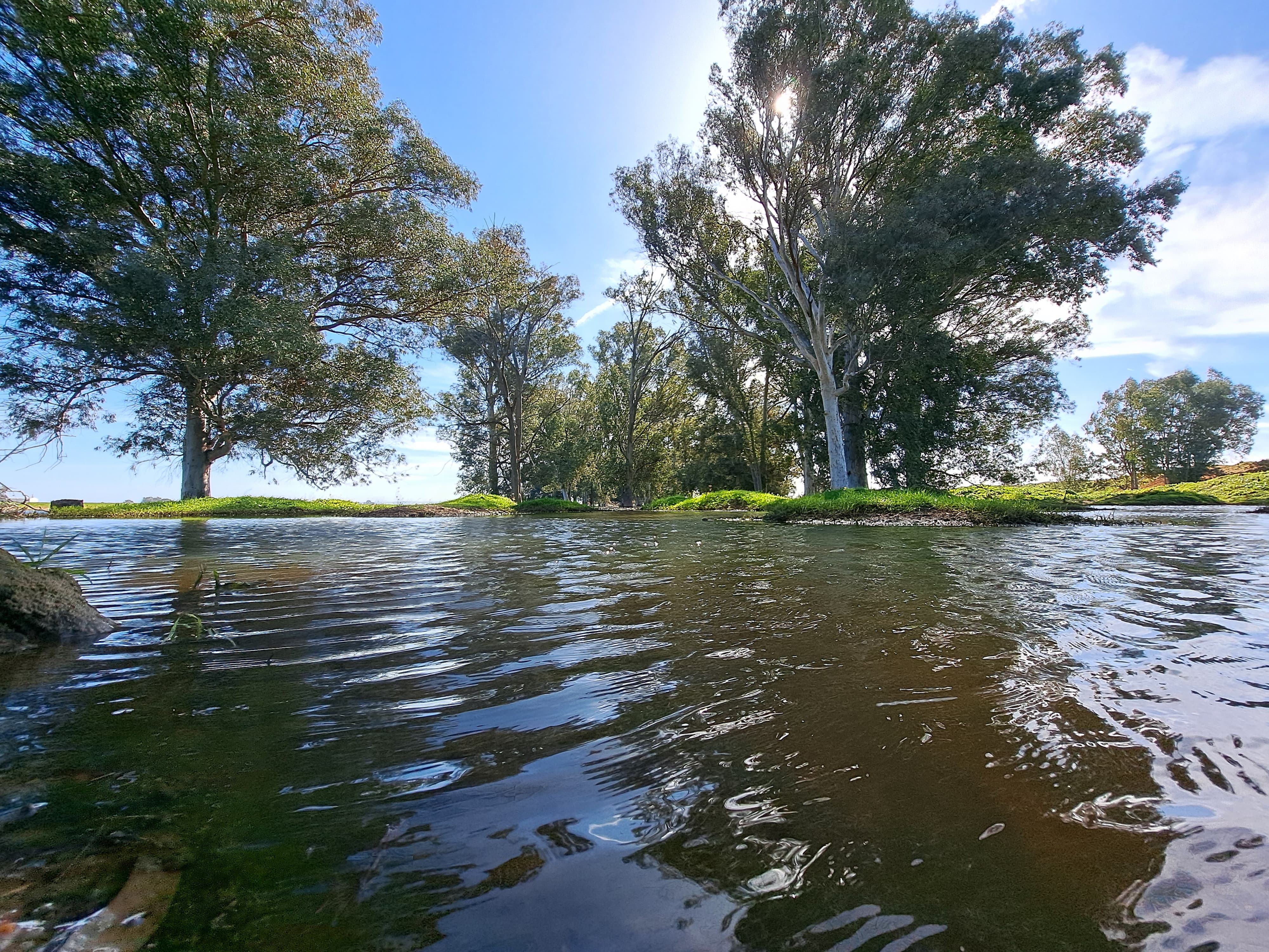 Los terrenos sobre los que se edifica la nueva 'Sevilla Este', en imágenes de los ecologistas.