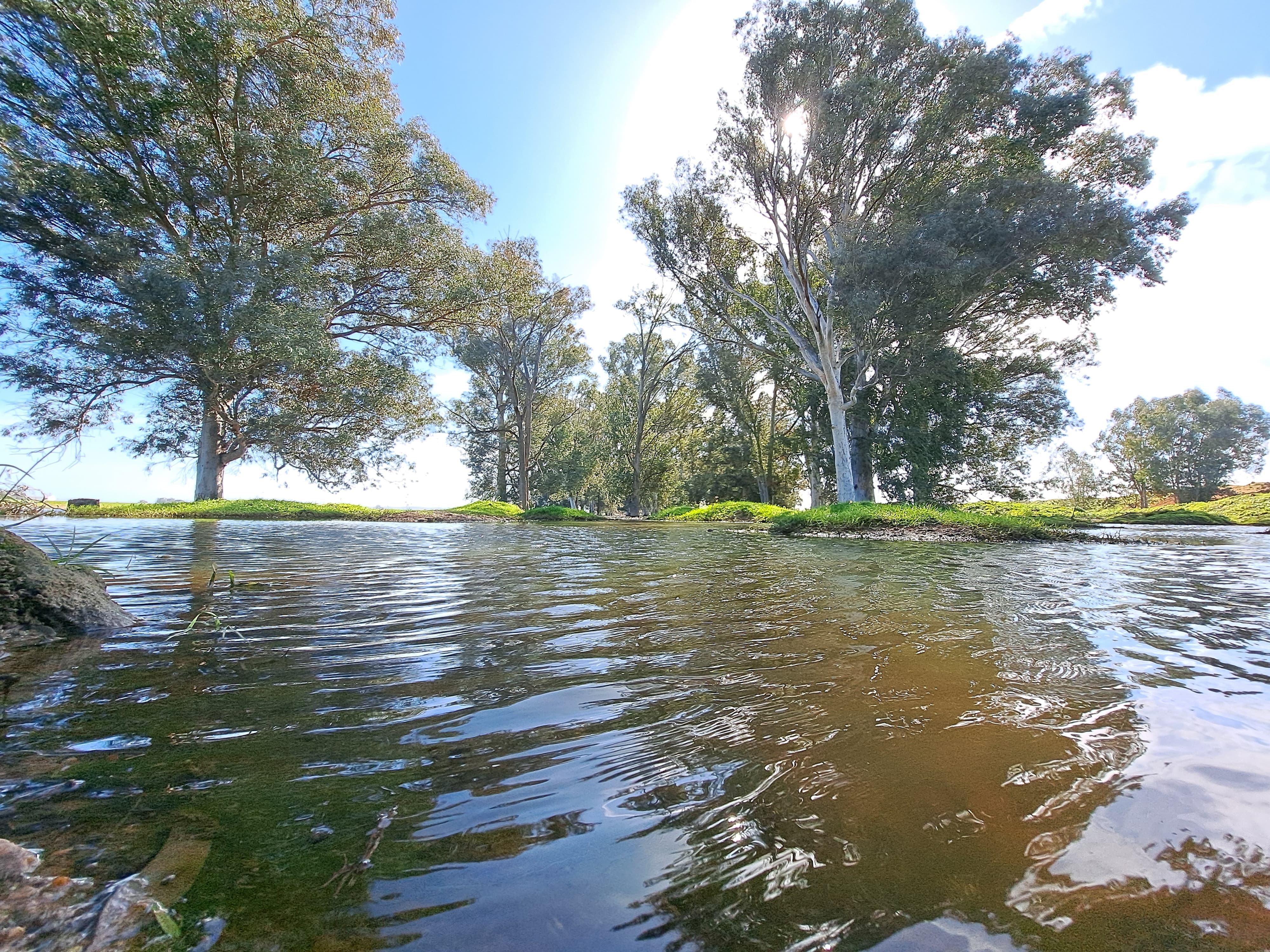 Los terrenos sobre los que se edifica la nueva 'Sevilla Este', en imágenes de los ecologistas.