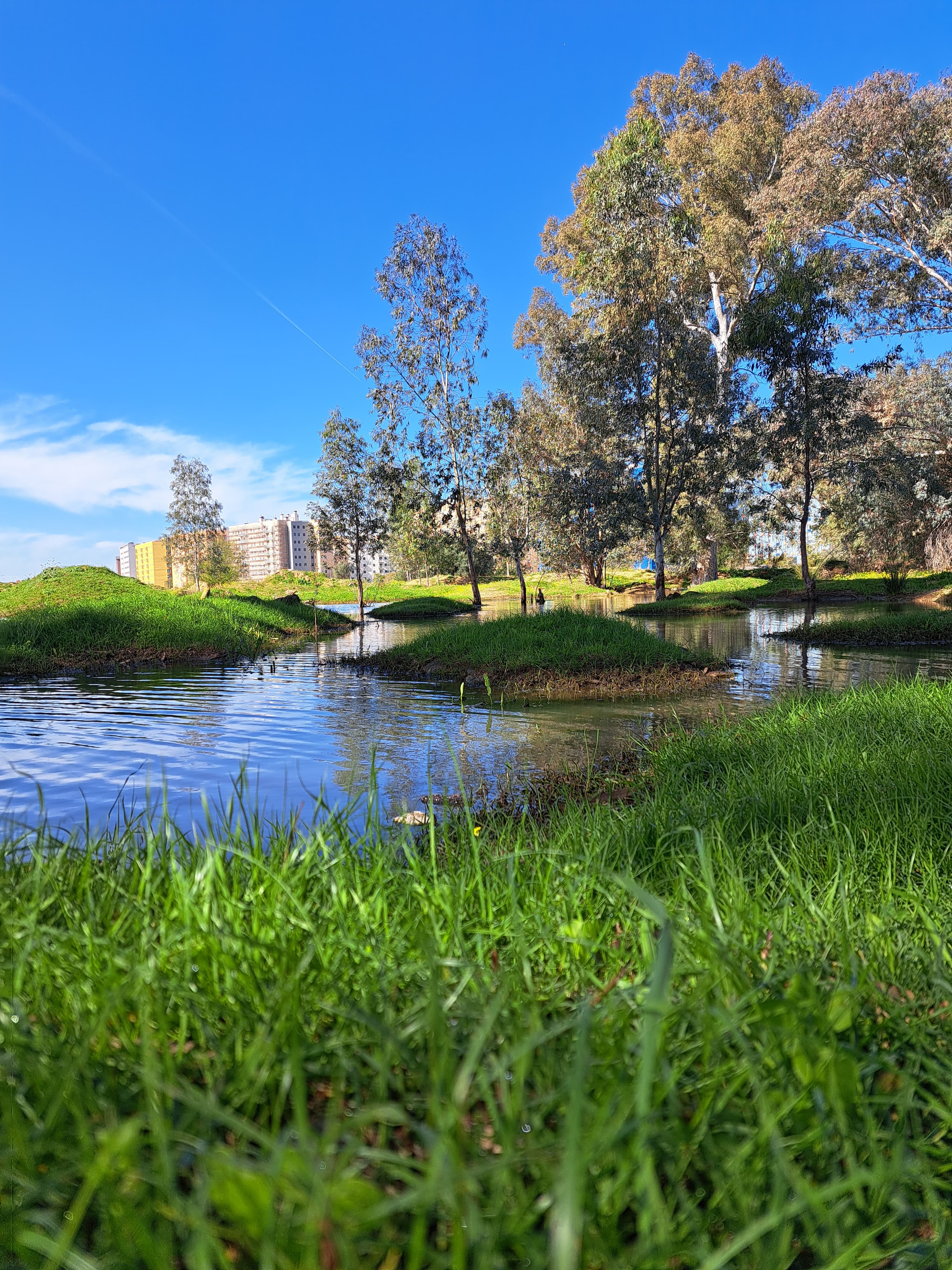 Los terrenos sobre los que se edifica la nueva 'Sevilla Este', en imágenes de los ecologistas.