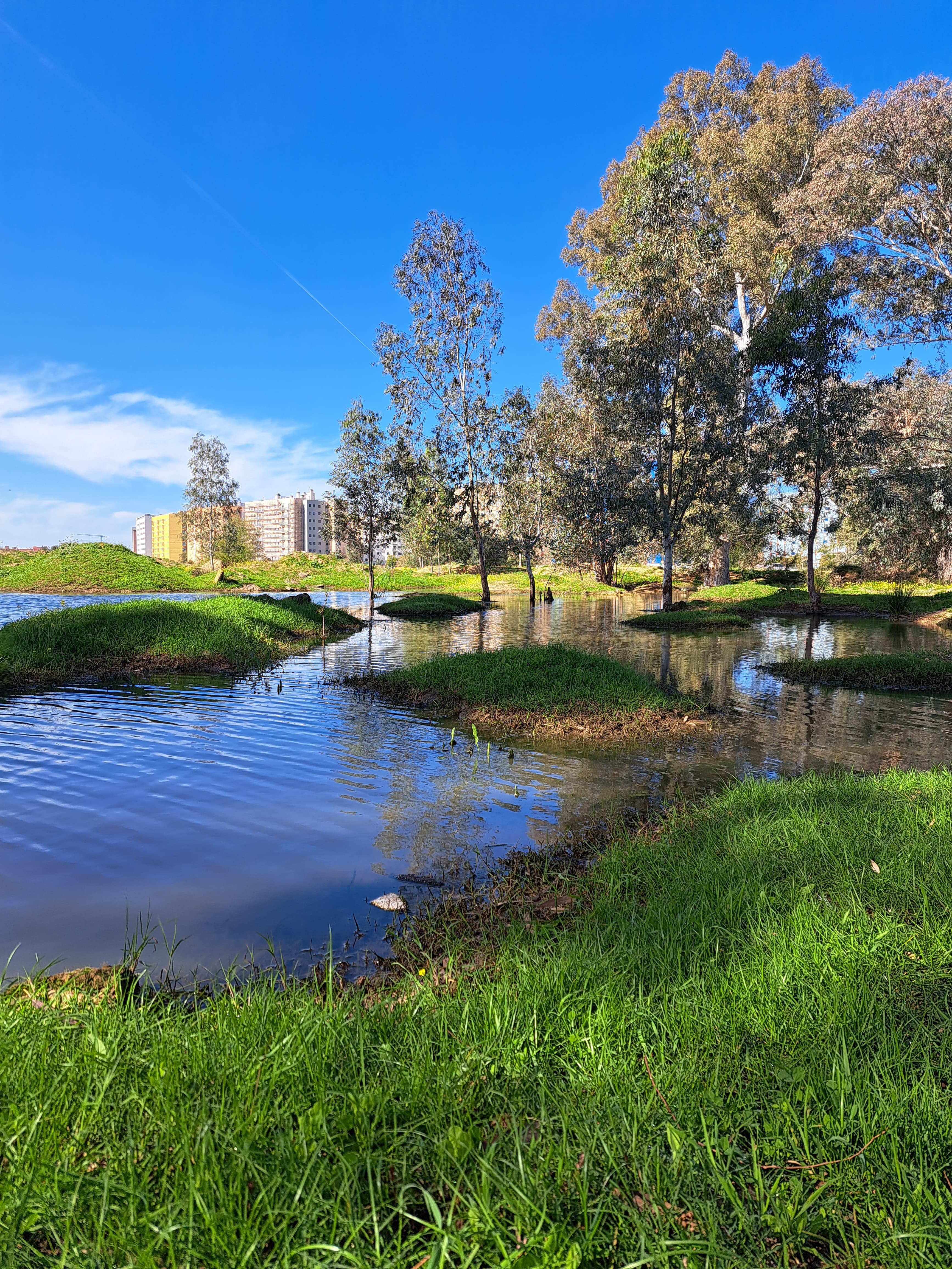 Los terrenos sobre los que se edifica la nueva 'Sevilla Este', en imágenes de los ecologistas.
