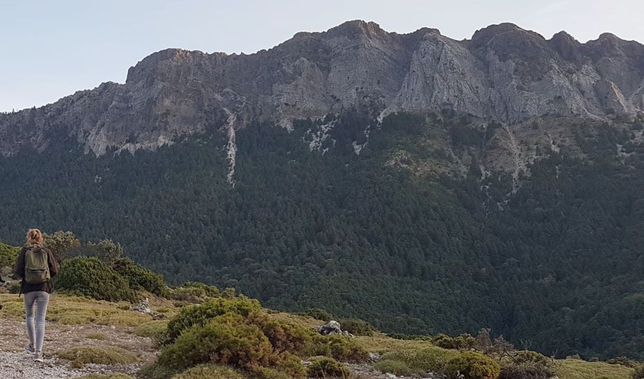 Senderista camina por la Sierra de Grazalema, con el pinsapar al fondo.