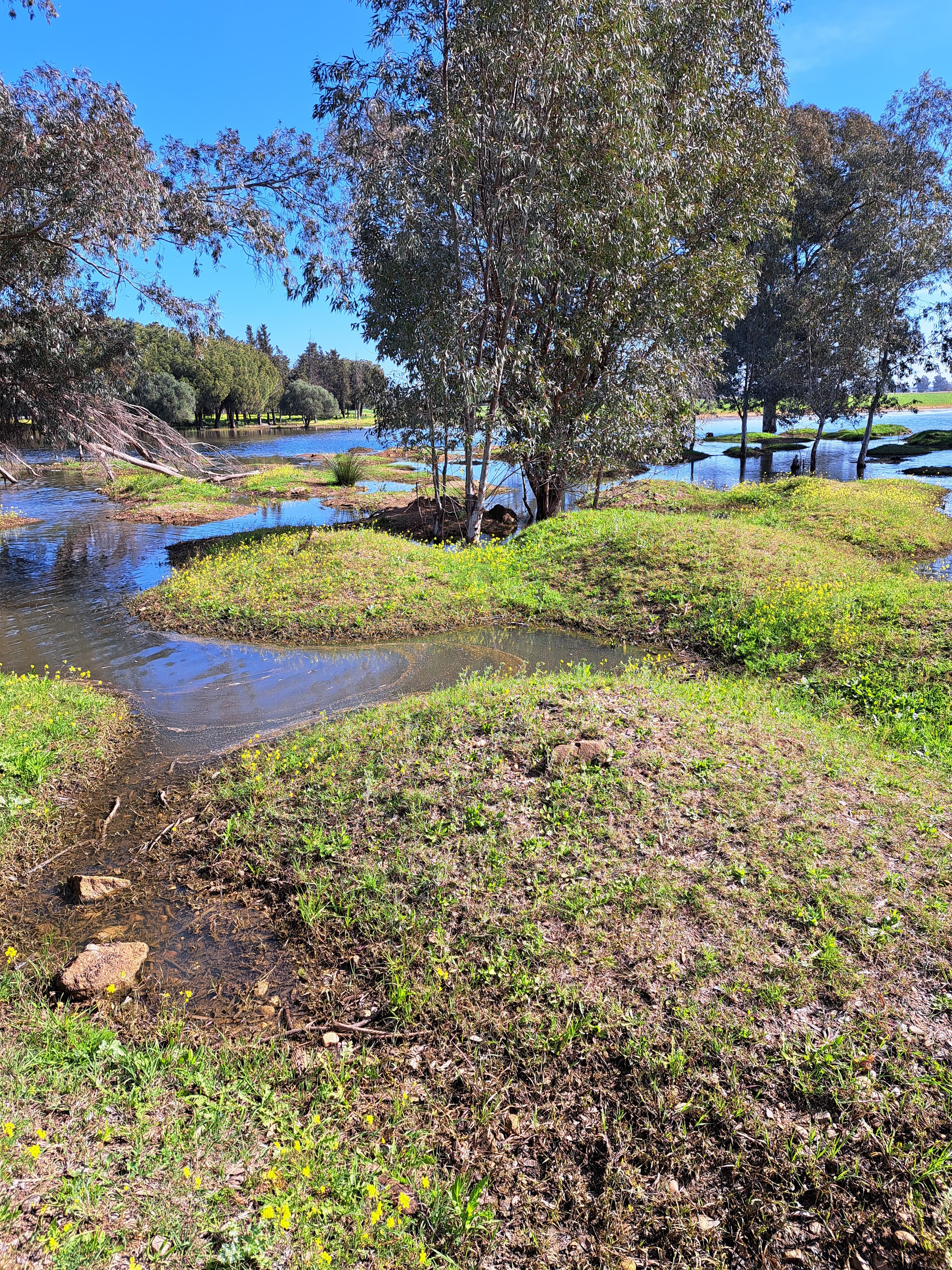 Los terrenos sobre los que se edifica la nueva 'Sevilla Este', en imágenes de los ecologistas.