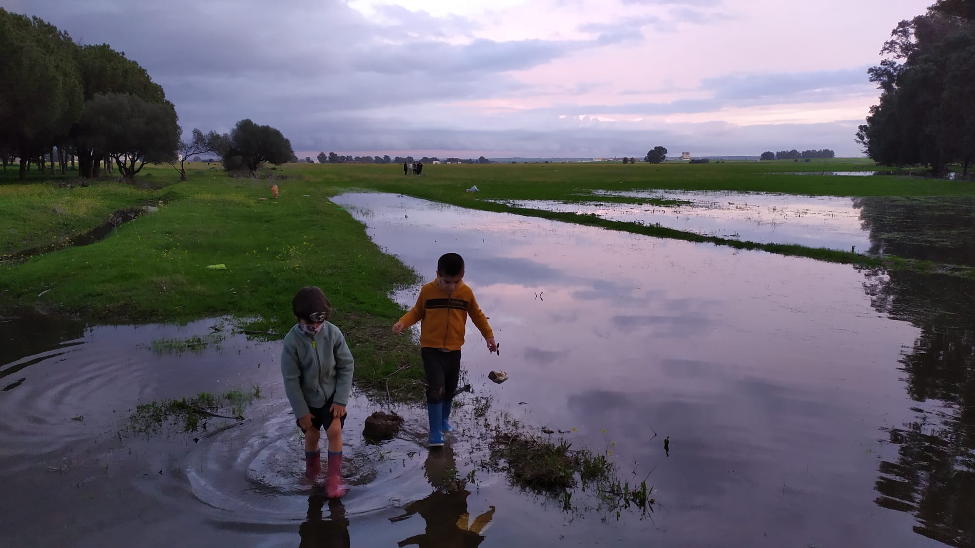 Los terrenos sobre los que se edifica la nueva 'Sevilla Este', en imágenes de los ecologistas.
