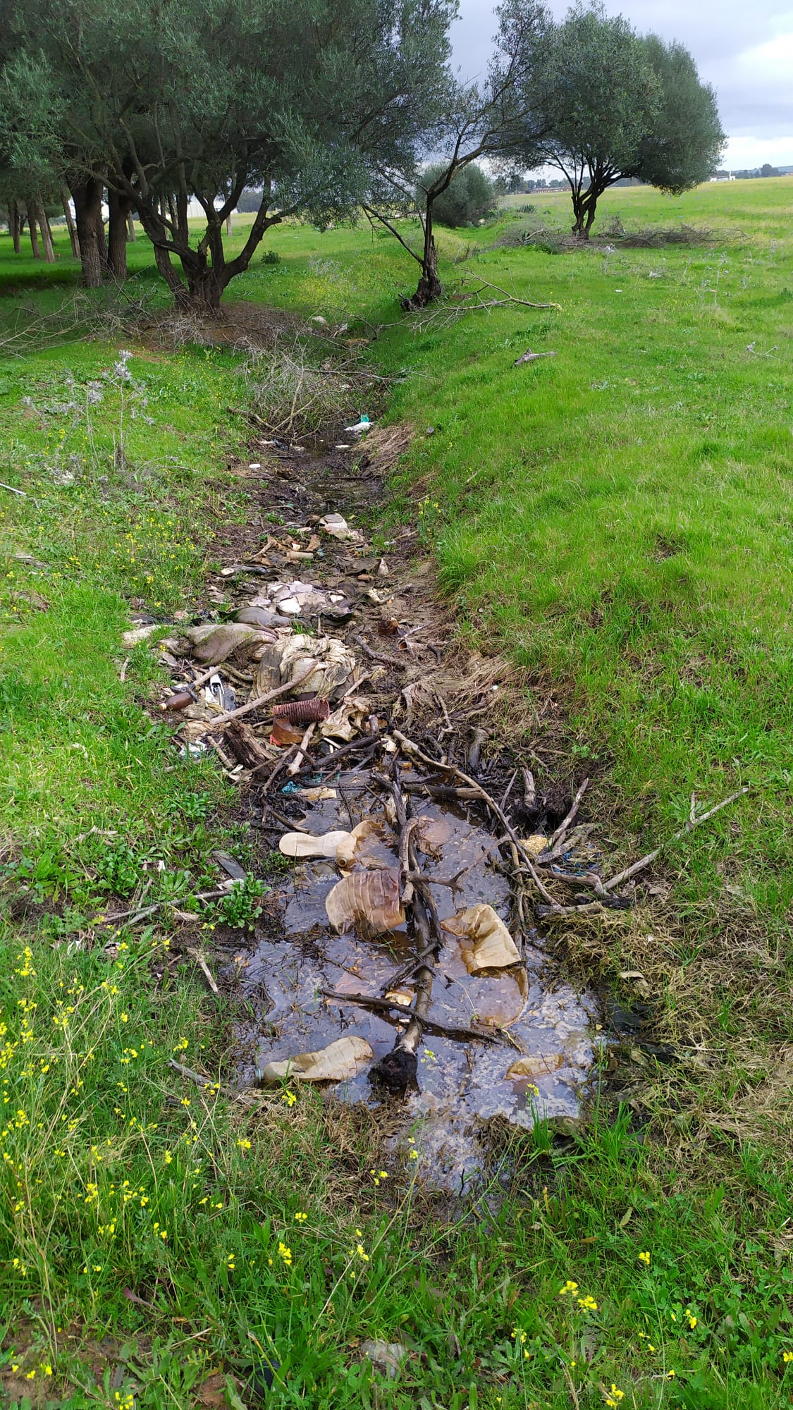 Los terrenos sobre los que se edifica la nueva 'Sevilla Este', en imágenes de los ecologistas.