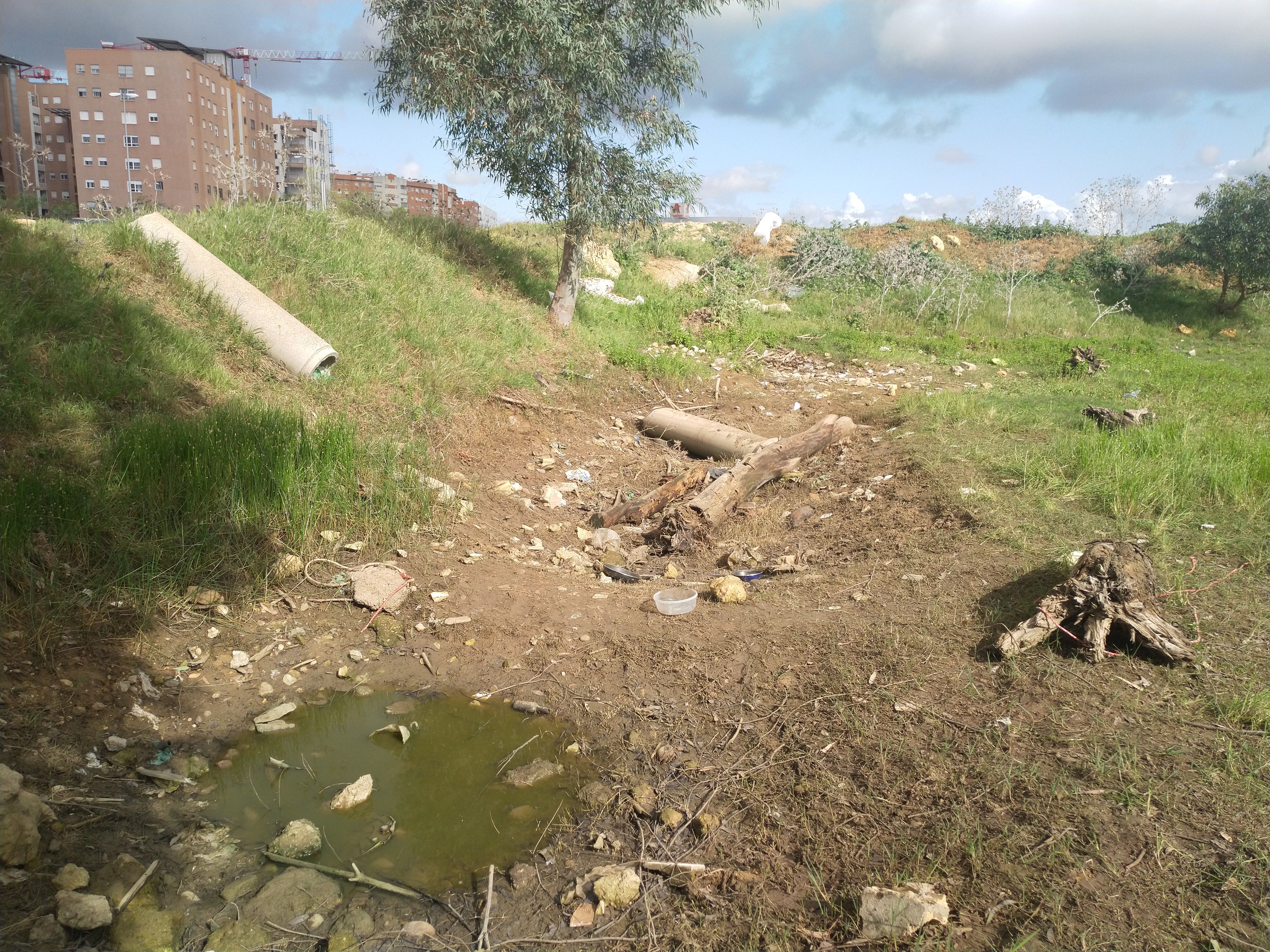 Los terrenos sobre los que se edifica la nueva 'Sevilla Este', en imágenes de los ecologistas.