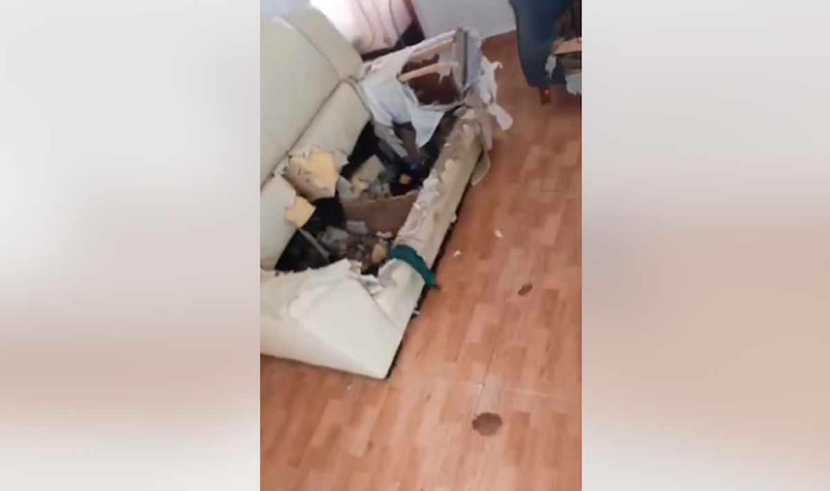 Abandonan a un perro en una vivienda durante más de 17 días en Cádiz.