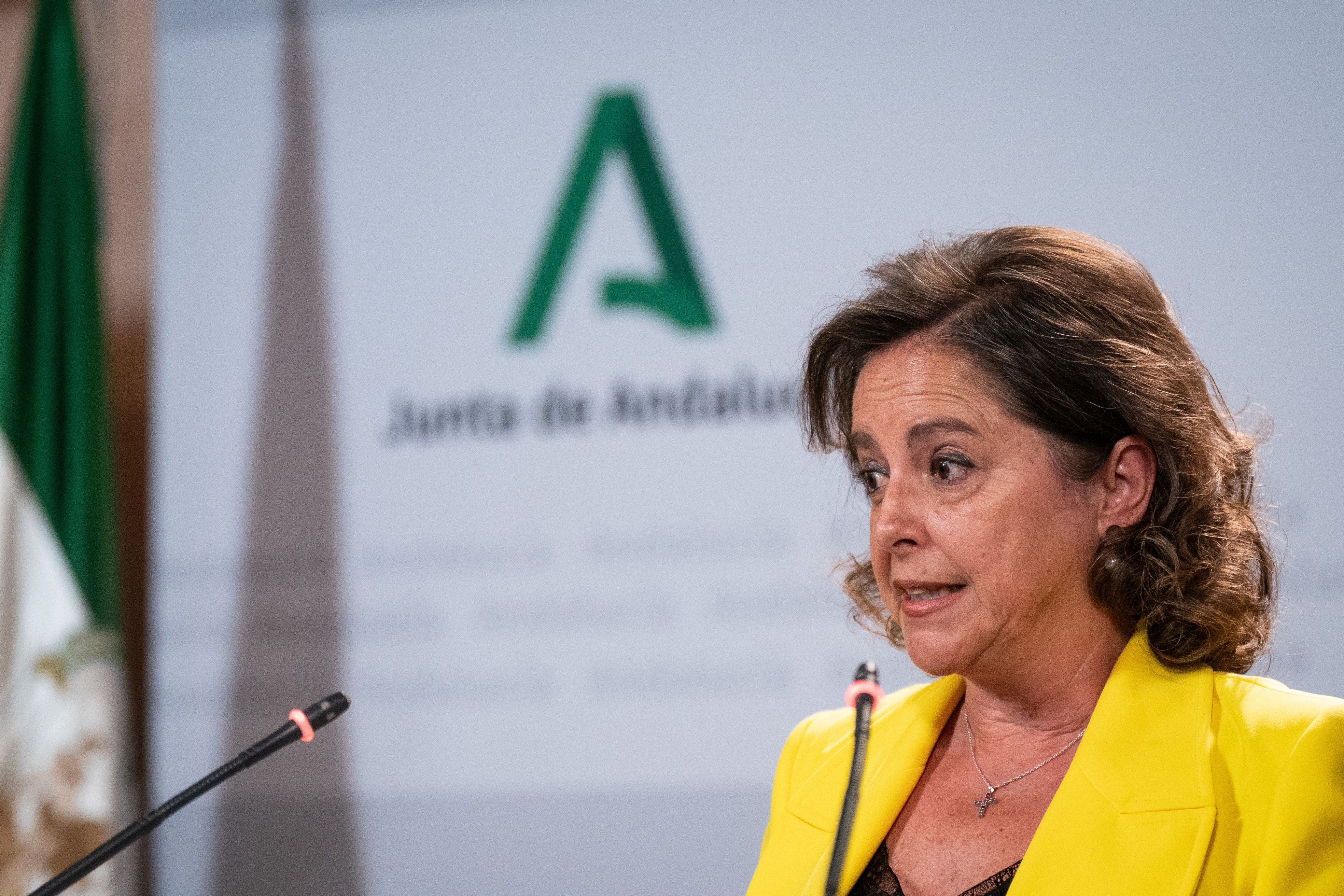Catalina García, consejera de Salud, durante la comparecencia posterior al Consejo de Gobierno de este martes.  JUNTA DE ANDALUCÍA
