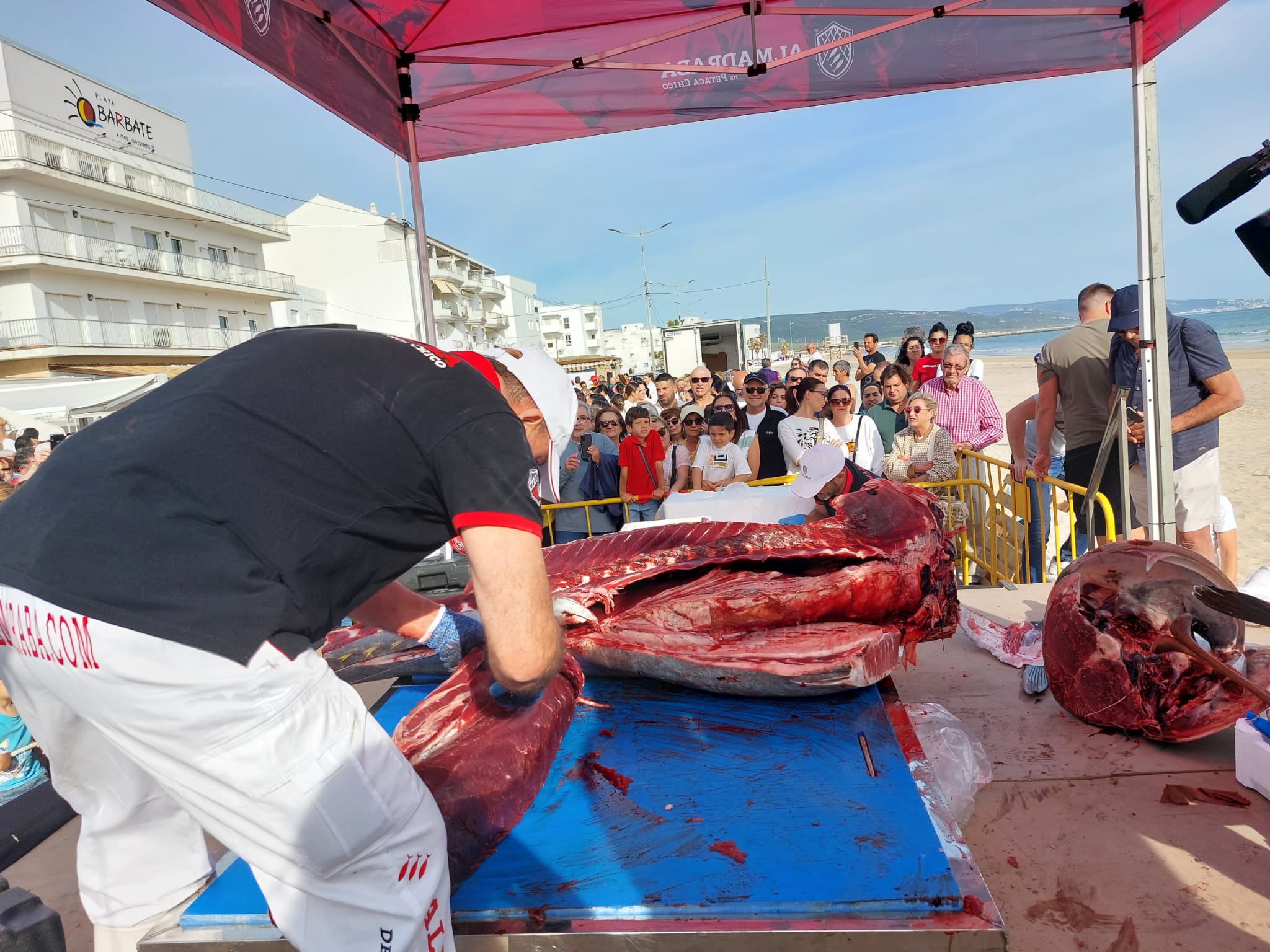 Demostración del ronqueo de un atún en el acto inaugural de la Semana del Atún de Barbate.