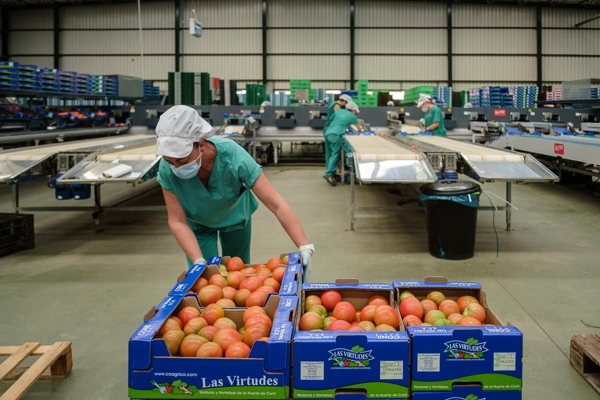 Una trabajadora de la cooperativa Nuestra Señora de Las Virtudes, en Conil.
