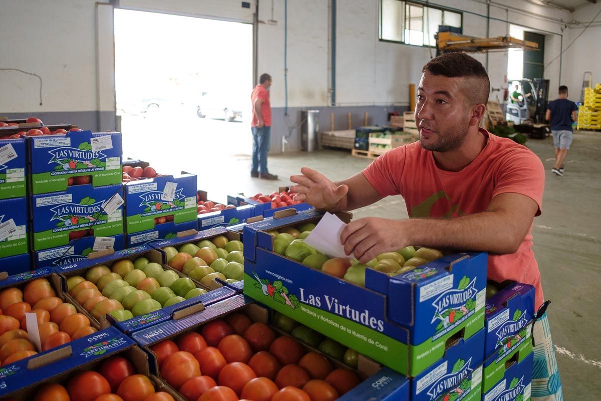 LAS_VIRTUDES_COOPERATIVA_CONIL-16