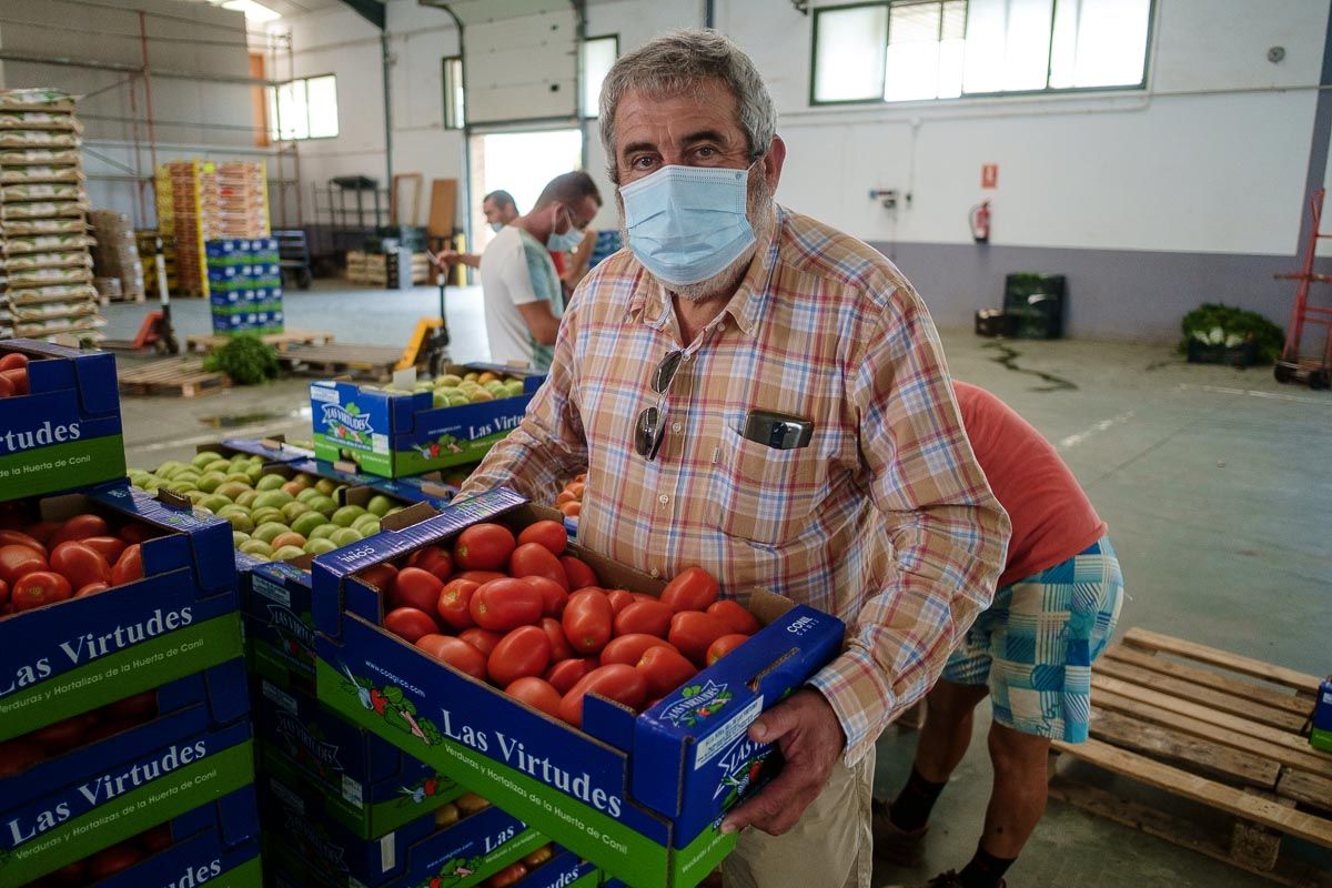 El presidente de la cooperativa Las Virtudes, Bartolomé Ramírez, en una de las naves en Conil. FOTO: MANU GARCÍA