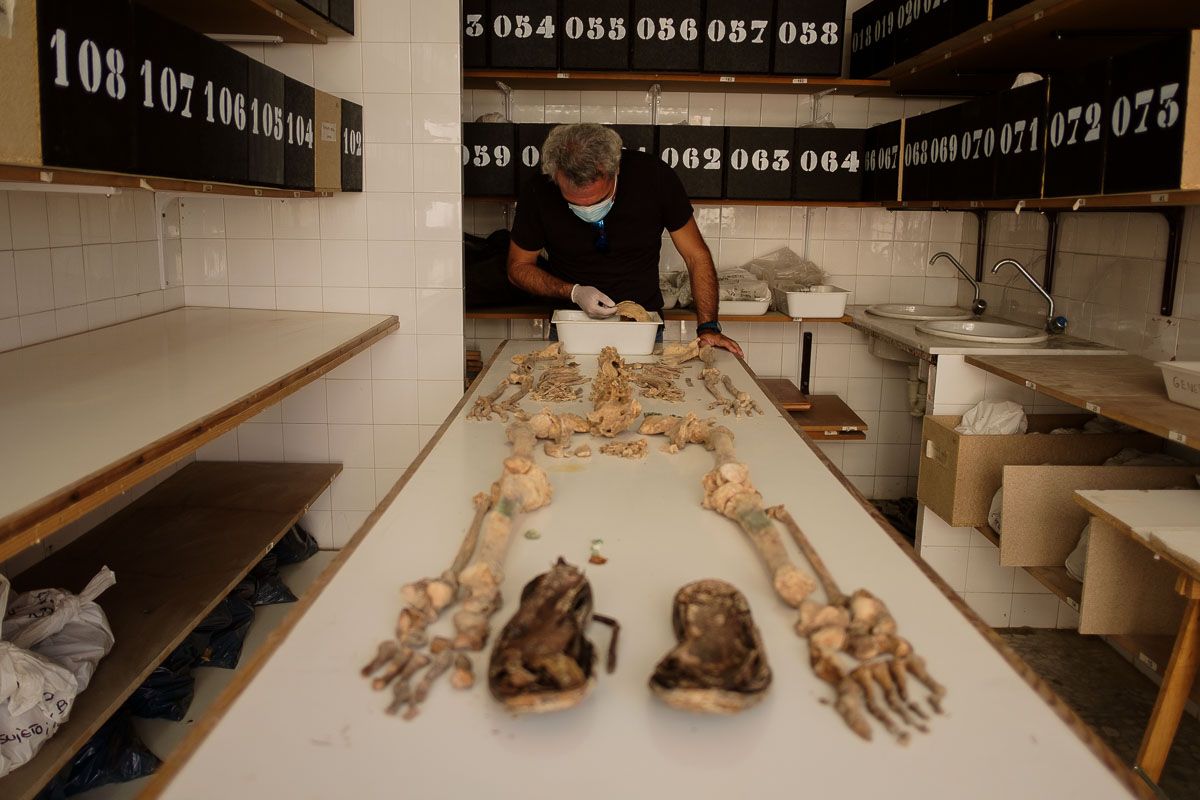 Javier Pérez en la sala de autopsias con el represaliado número 107. FOTO: MANU GARCÍA Javier Pérez en la sala de autopsias con el represaliado número 107. FOTO: MANU GARCÍA