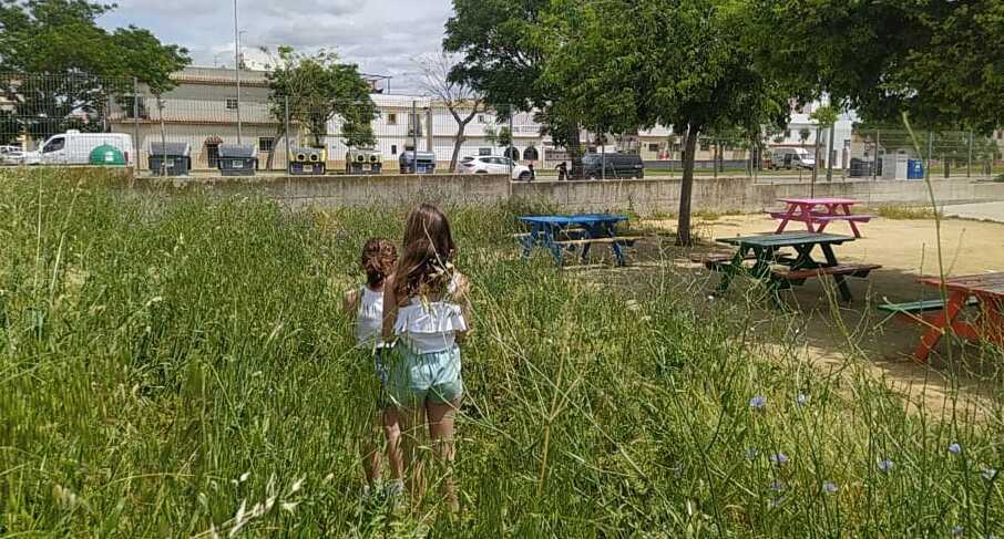 El estado de las hierbas en el patio del CEIP El Membrillar, un ejemplo de la falta de inversión en las escuelas públicas de Jerez..