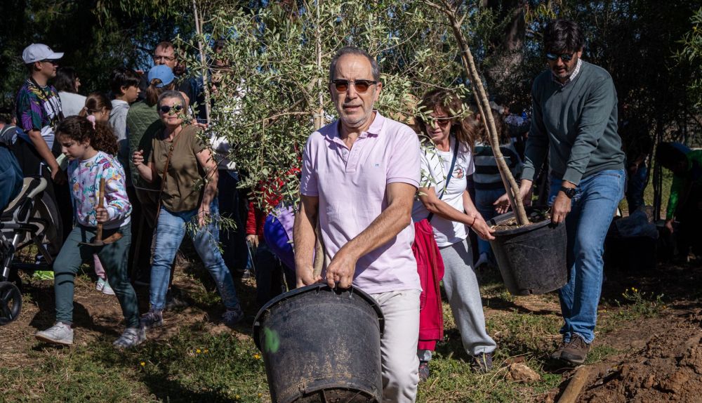 La plantación de 50 árboles en la antigua Carretera de La Barrosa