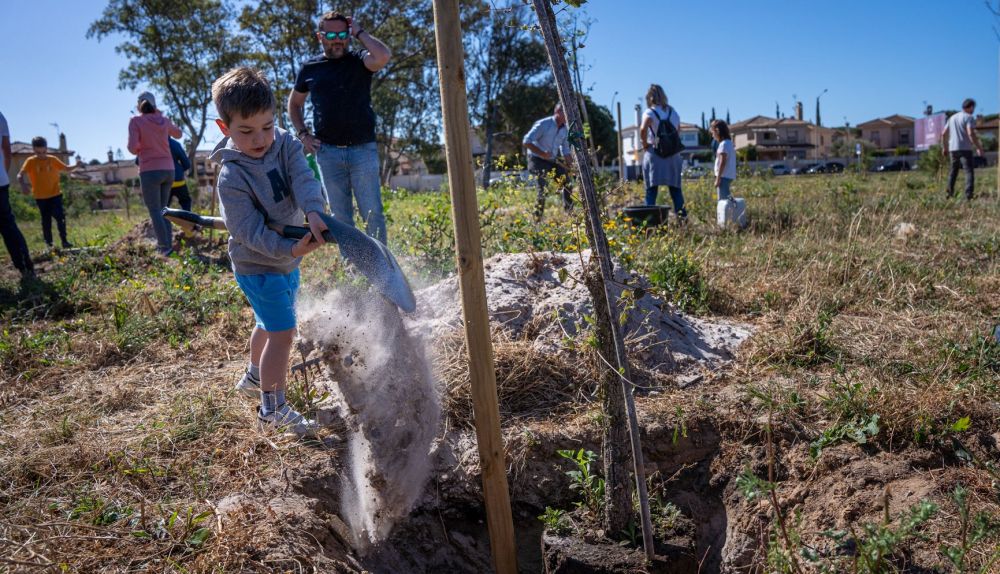 La plantación de 50 árboles en la antigua Carretera de La Barrosa