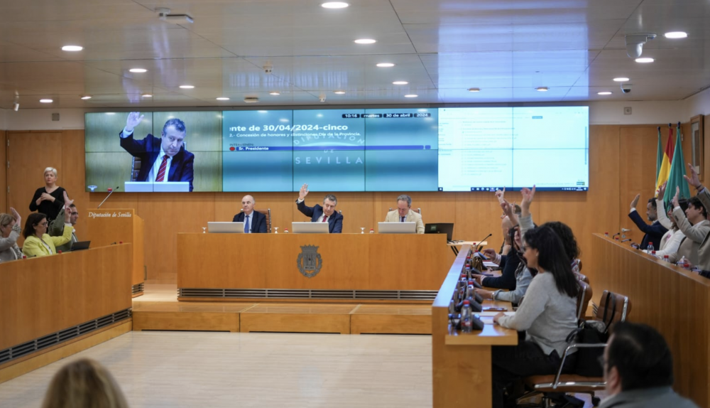 Pleno extraordinario de la Diputación de Sevilla.