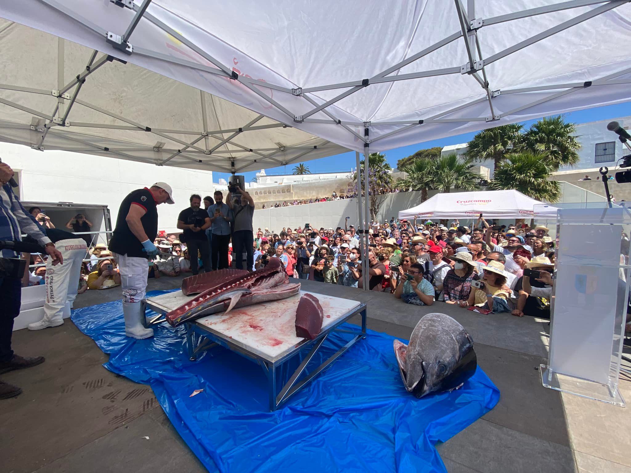 Una ruta gastronómica del atún rojo salvaje en Conil, en una edición pasada.