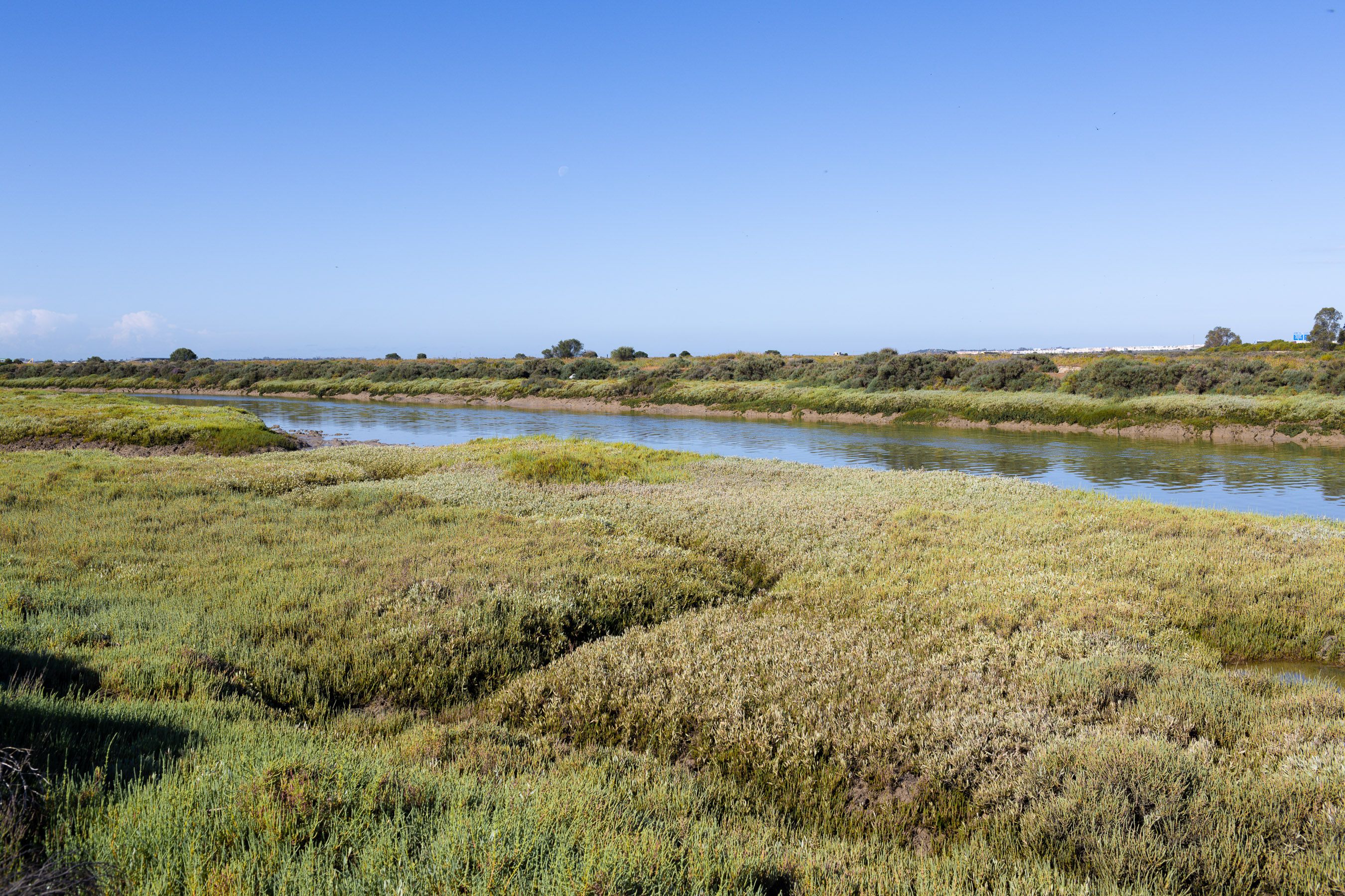 Salinas de la Bahía de Cádiz.