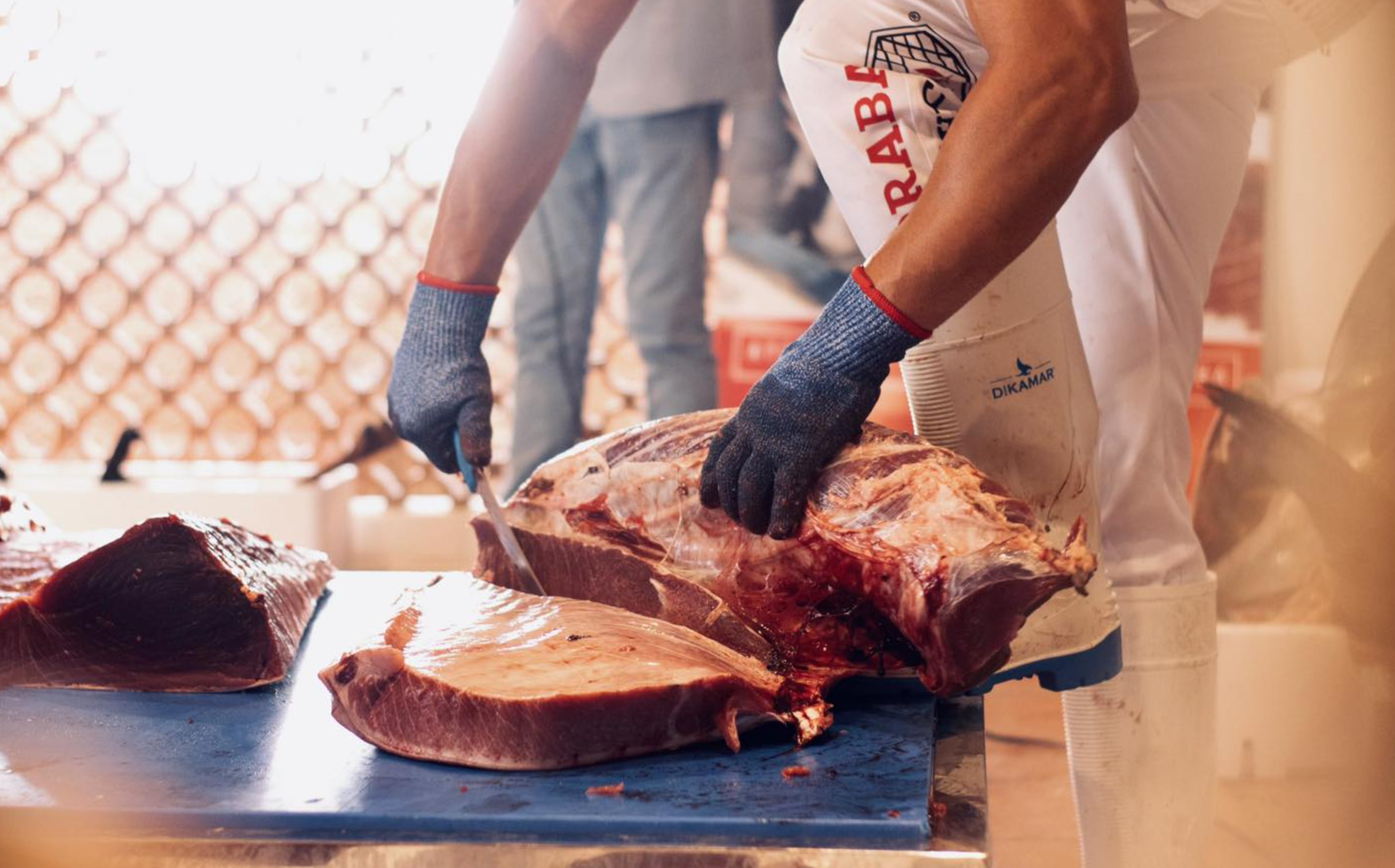 El Mes del Atún de Chiclana comenzará en la finca del Sotillo.