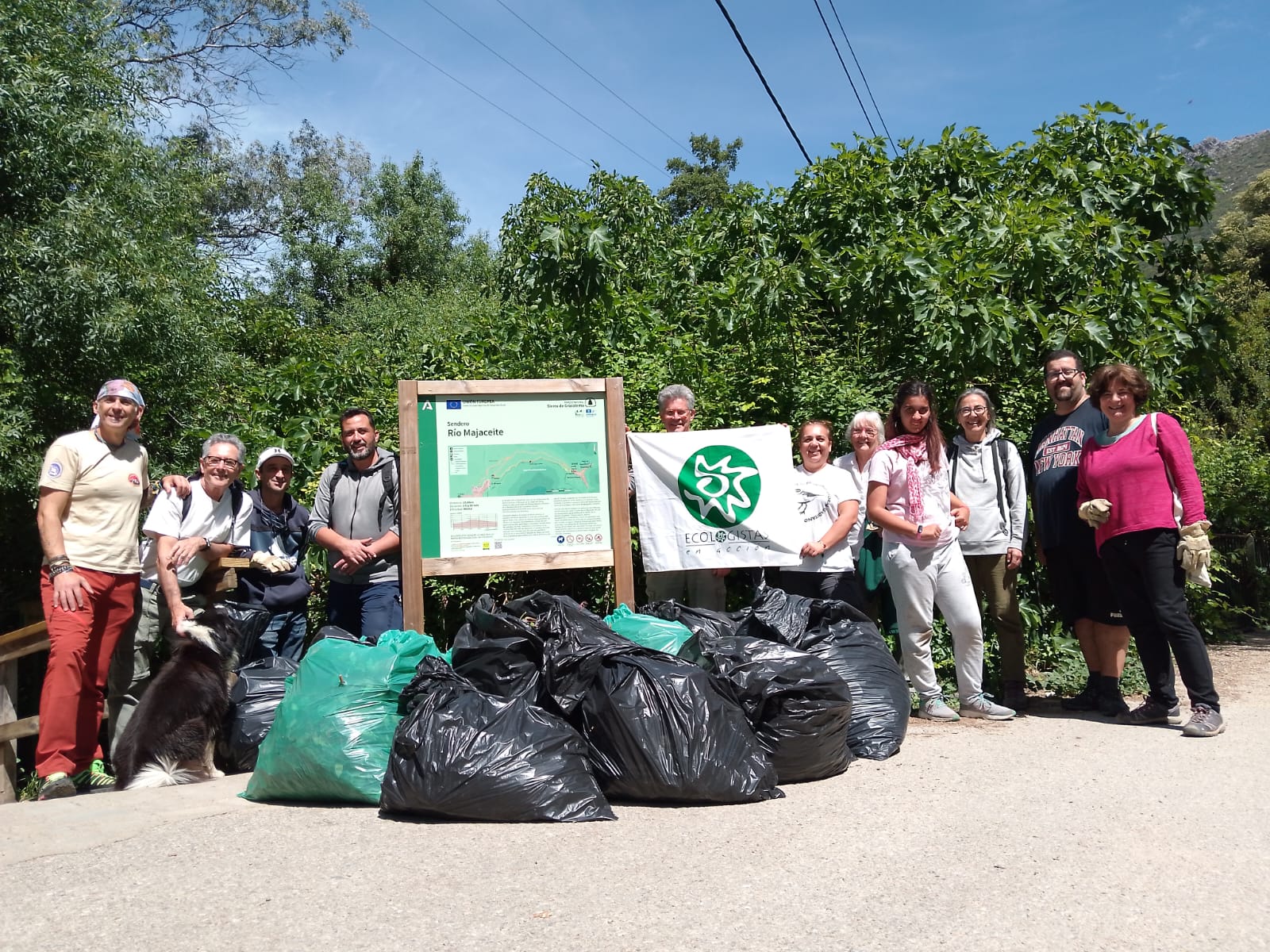 Recogida de 'amor de hombre', una planta invasora que se encuentra en el río Majaceite.