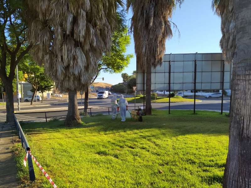 Operarios del Ayuntamiento de Coria, en una imagen de archivo, desinfectando un parque para acabar con los mosquitos de Fiebre del Nilo.