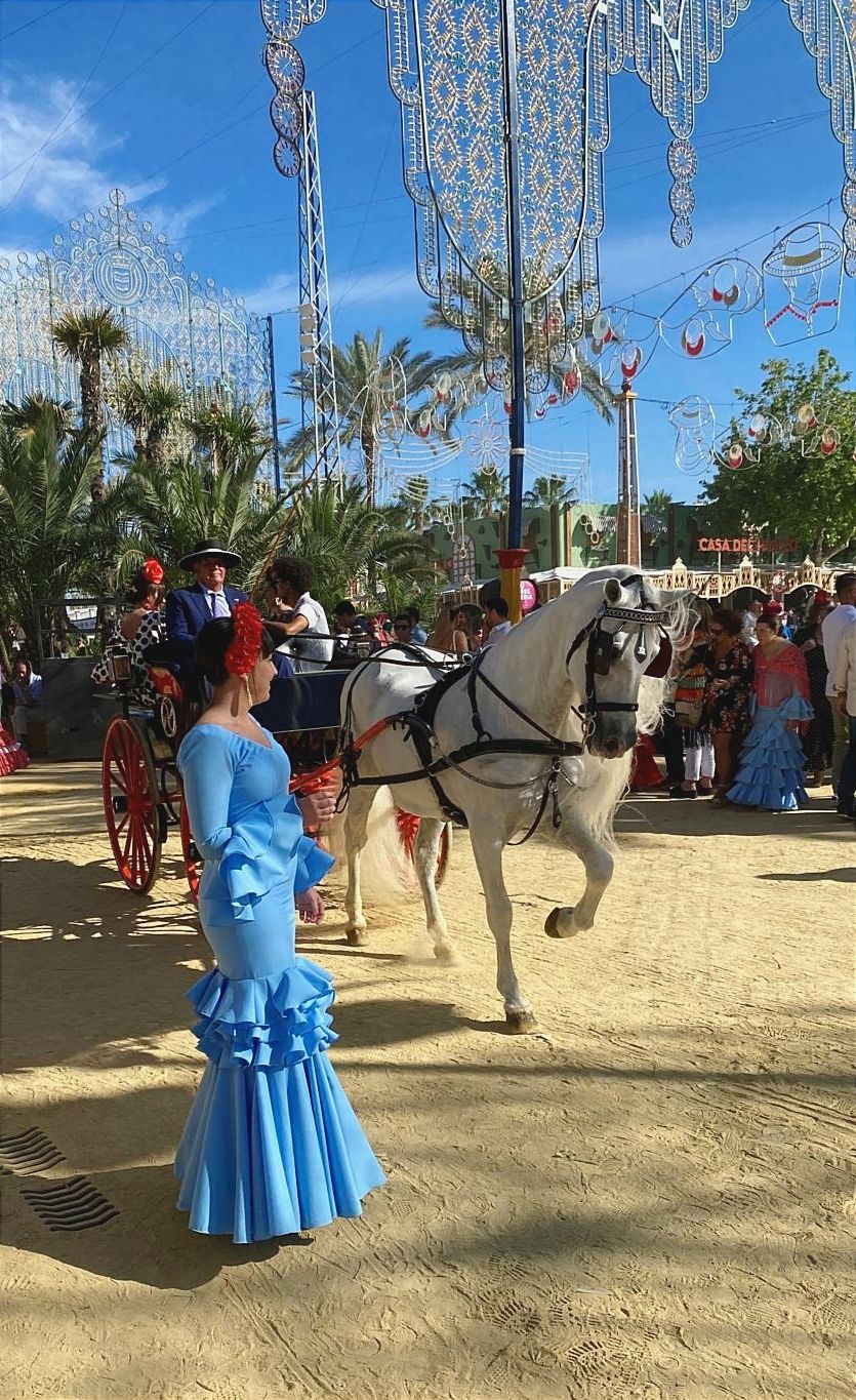 Sandra Ortega Aguilera