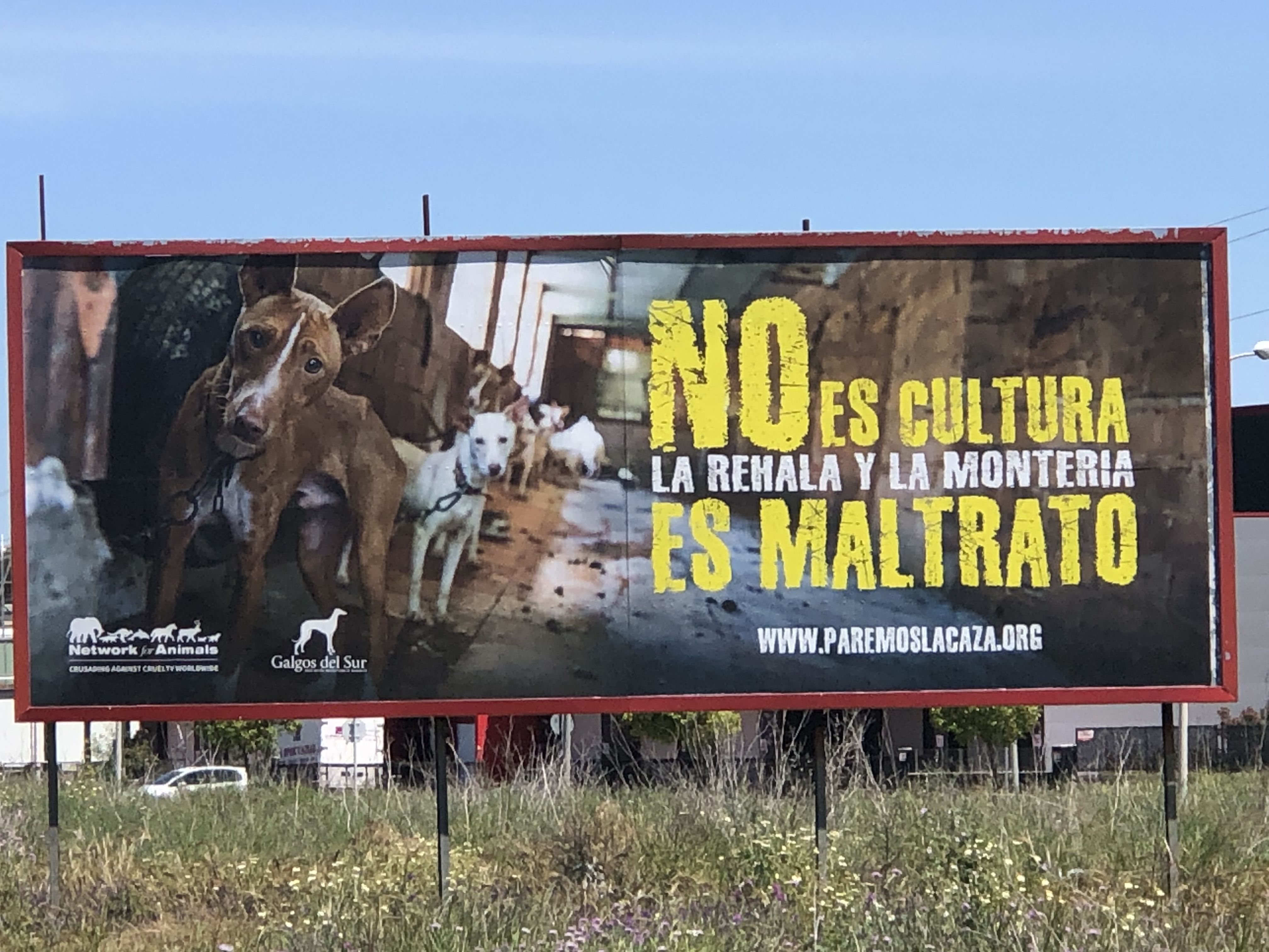 Una de las vallas de la campaña de Galgos del Sur en Córdoba.