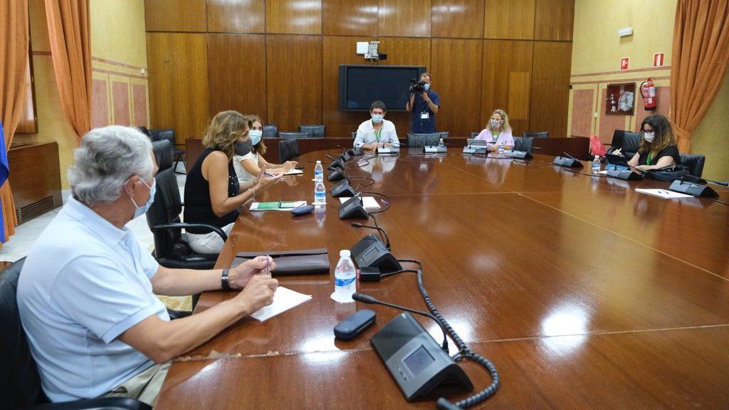 Un momento de la reunión, este miércoles, con la Confederación Andaluza de AMPA. FOTO: PSOE-A