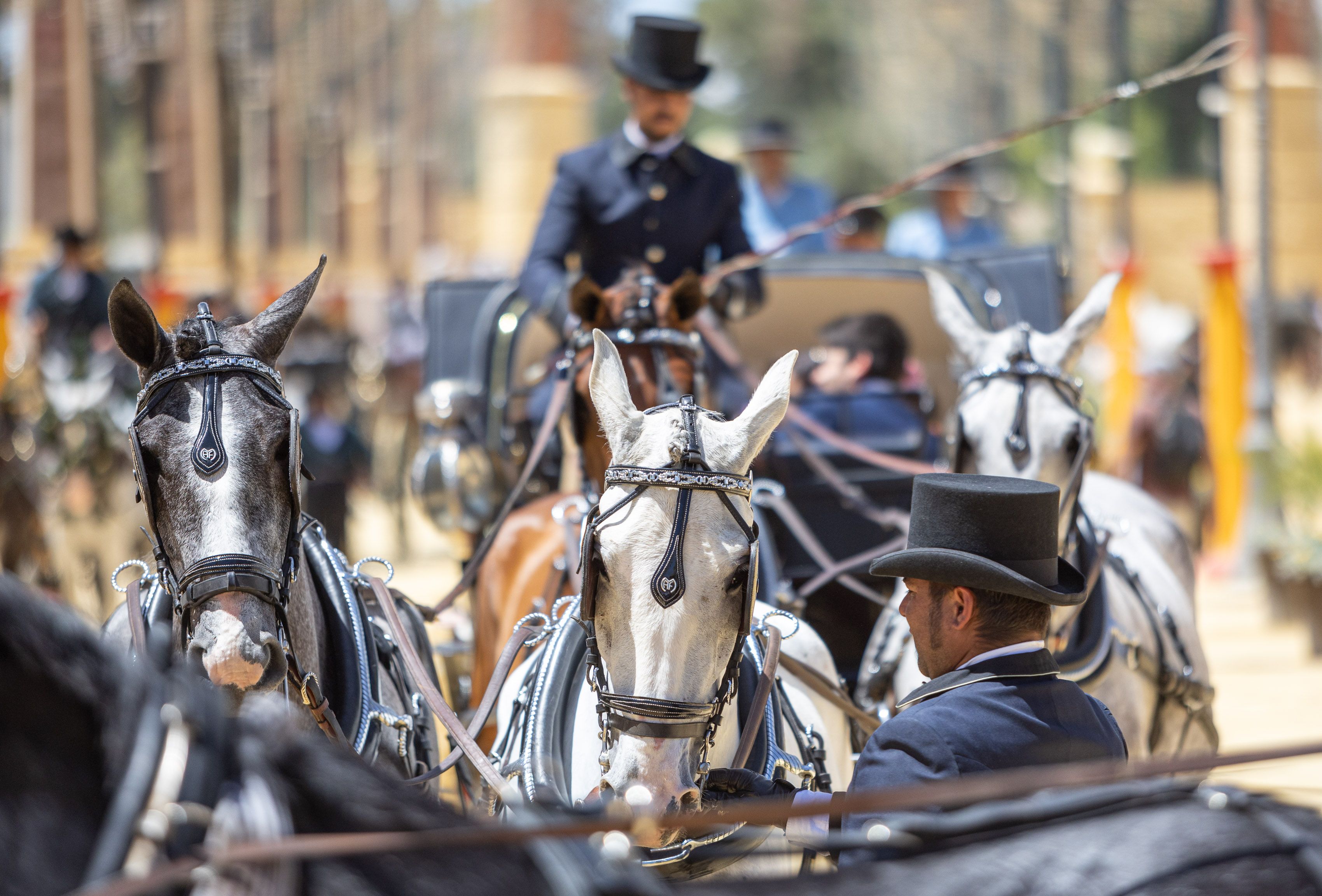Jueves de Feria del Caballo 