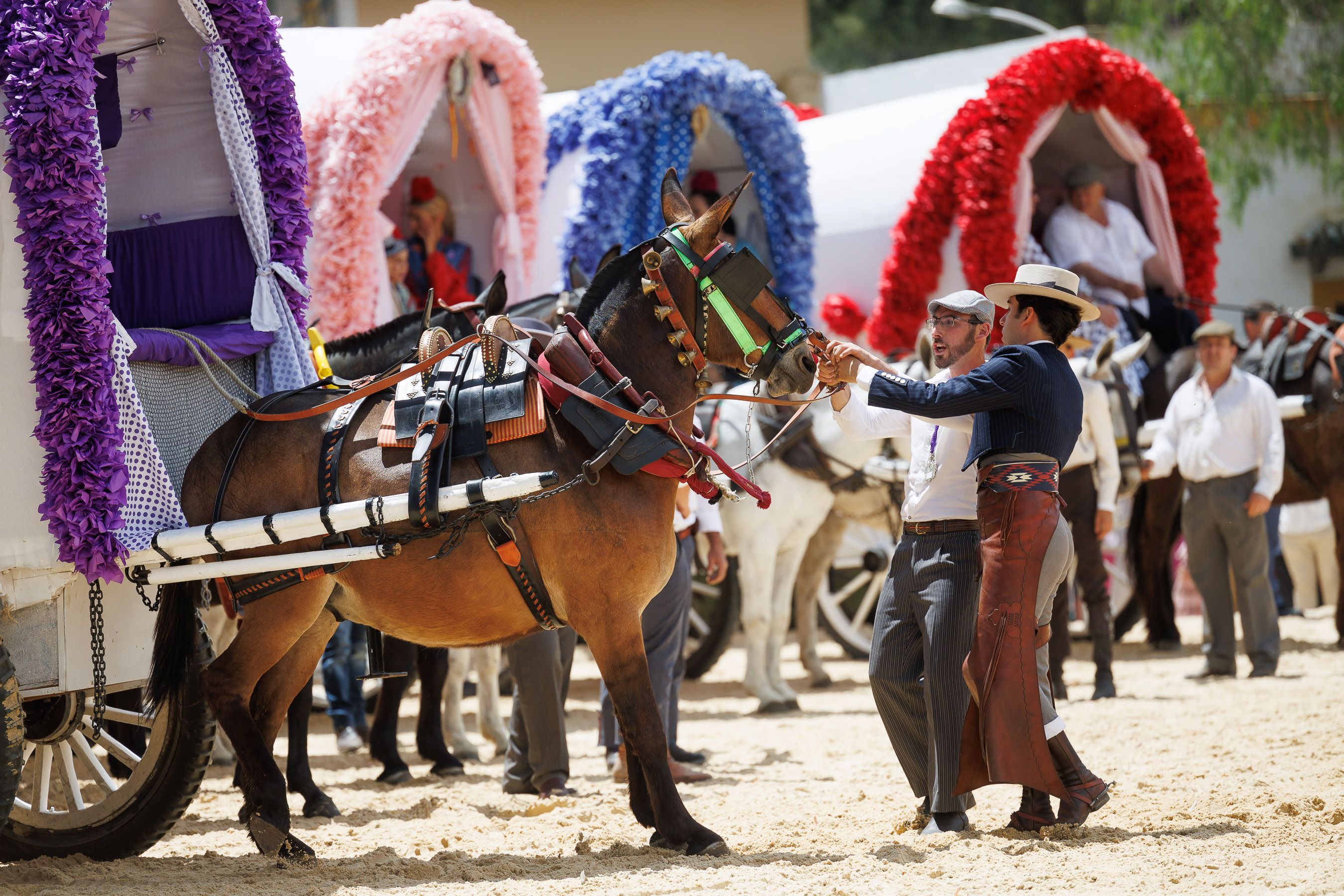 Los rocieros de Jerez reciben el Caballo de Oro 2024 