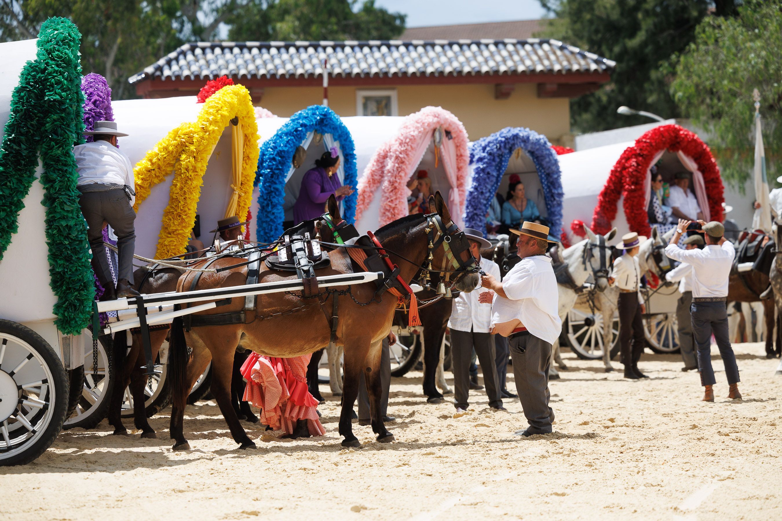 Los rocieros de Jerez reciben el Caballo de Oro 2024 