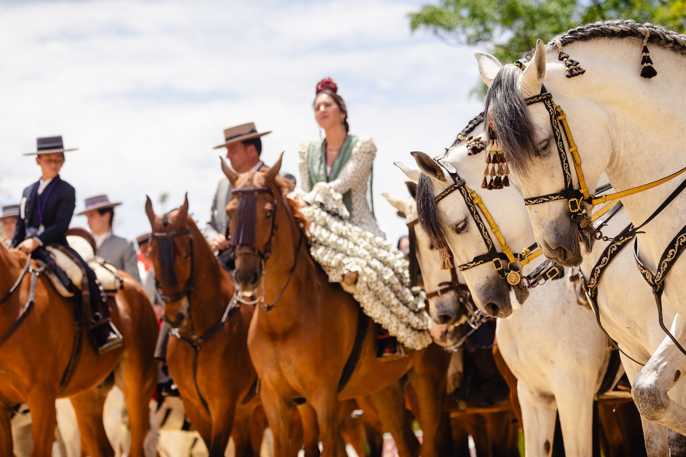 Los rocieros de Jerez reciben el Caballo de Oro 2024 