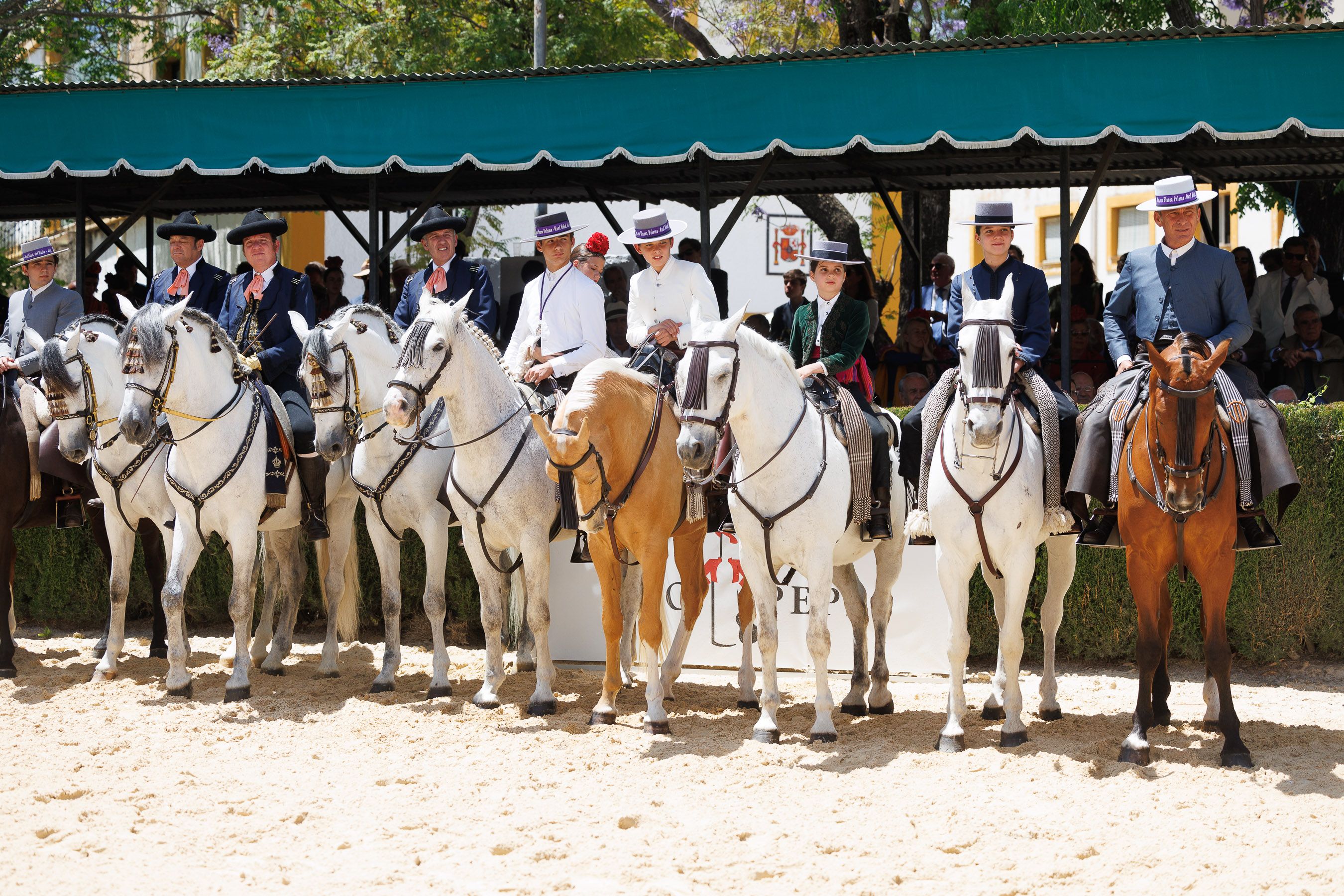 Los rocieros de Jerez reciben el Caballo de Oro 2024 