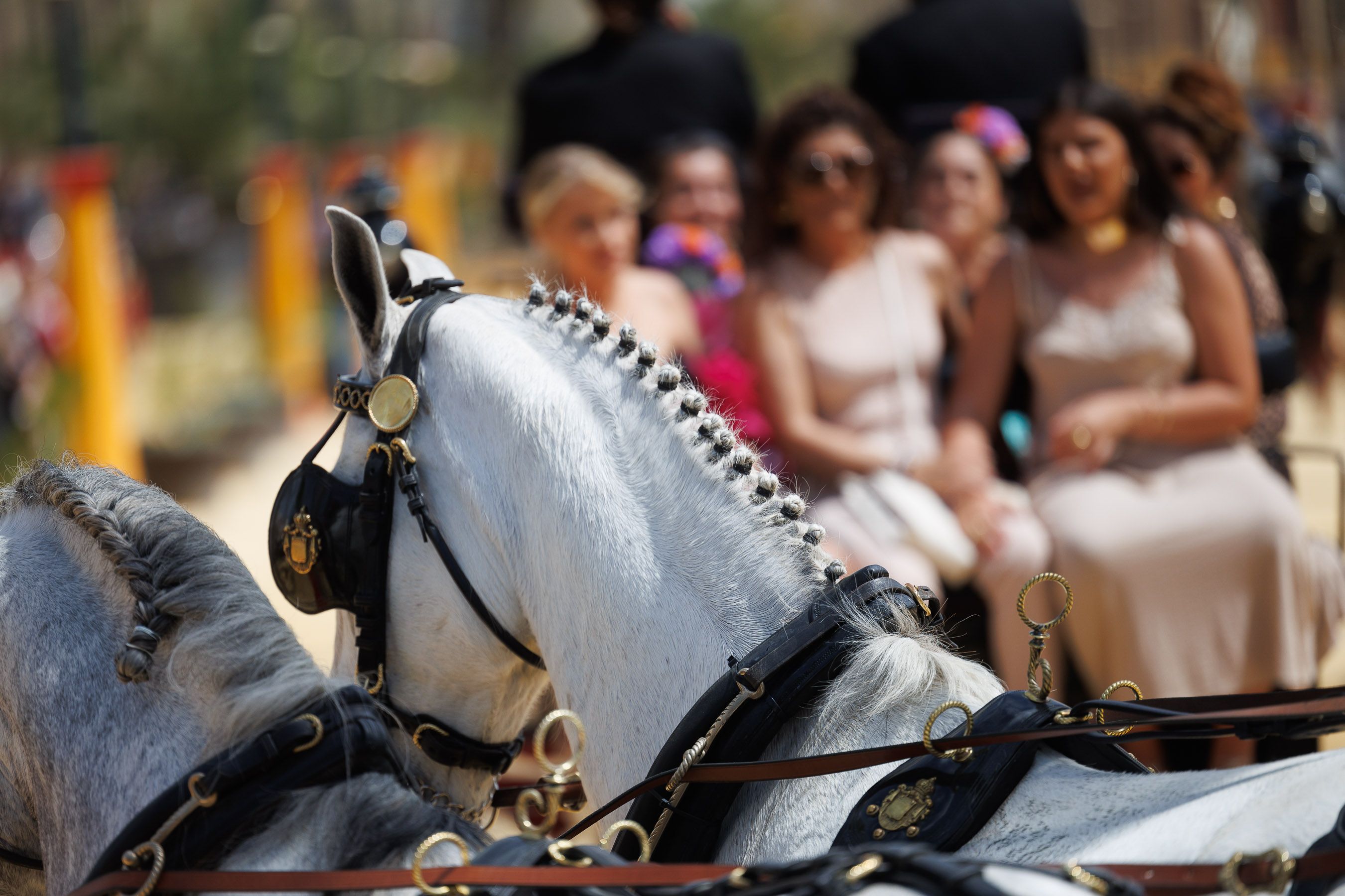 Viernes de Feria de Jerez