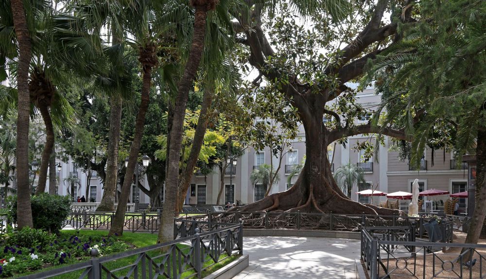 La Plaza de Mina, en Cádiz.