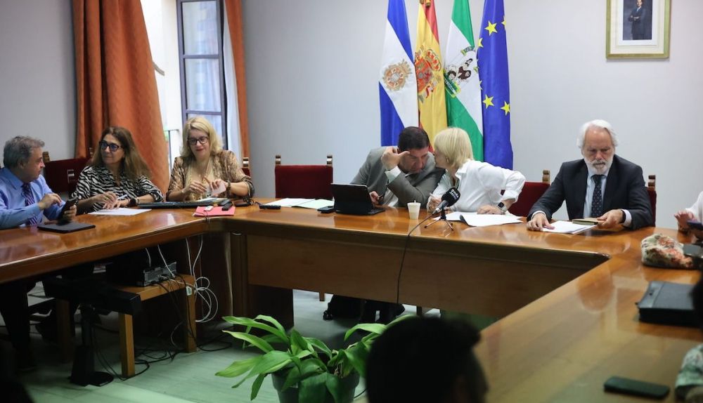 pleno mesas elecciones europeas jerez MANU GARCÍA 1