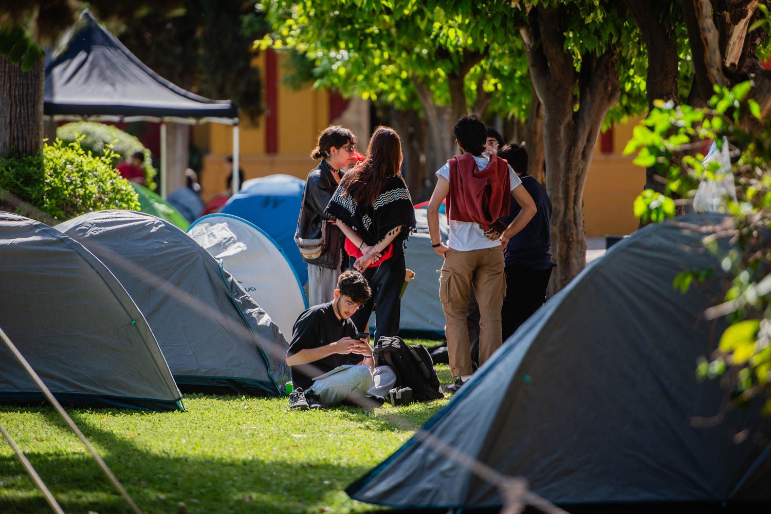 ACAMPADA PALESTINA UNIVERSIDAD SEVILLA 14 MAYO 2024 SEVILLA