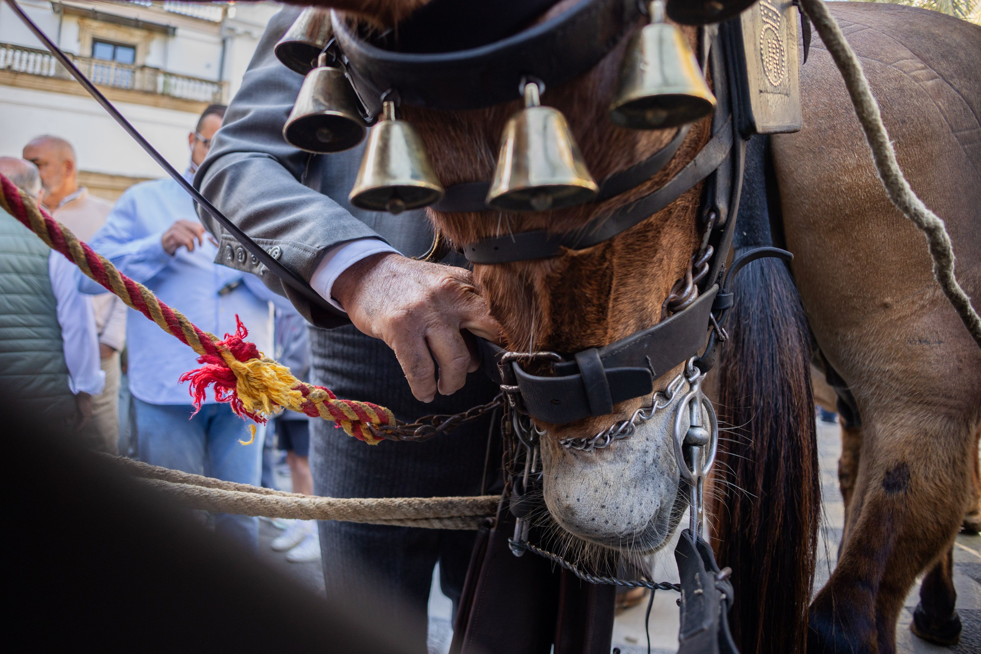 Los romeros de Jerez ya caminan rumbo al Rocío