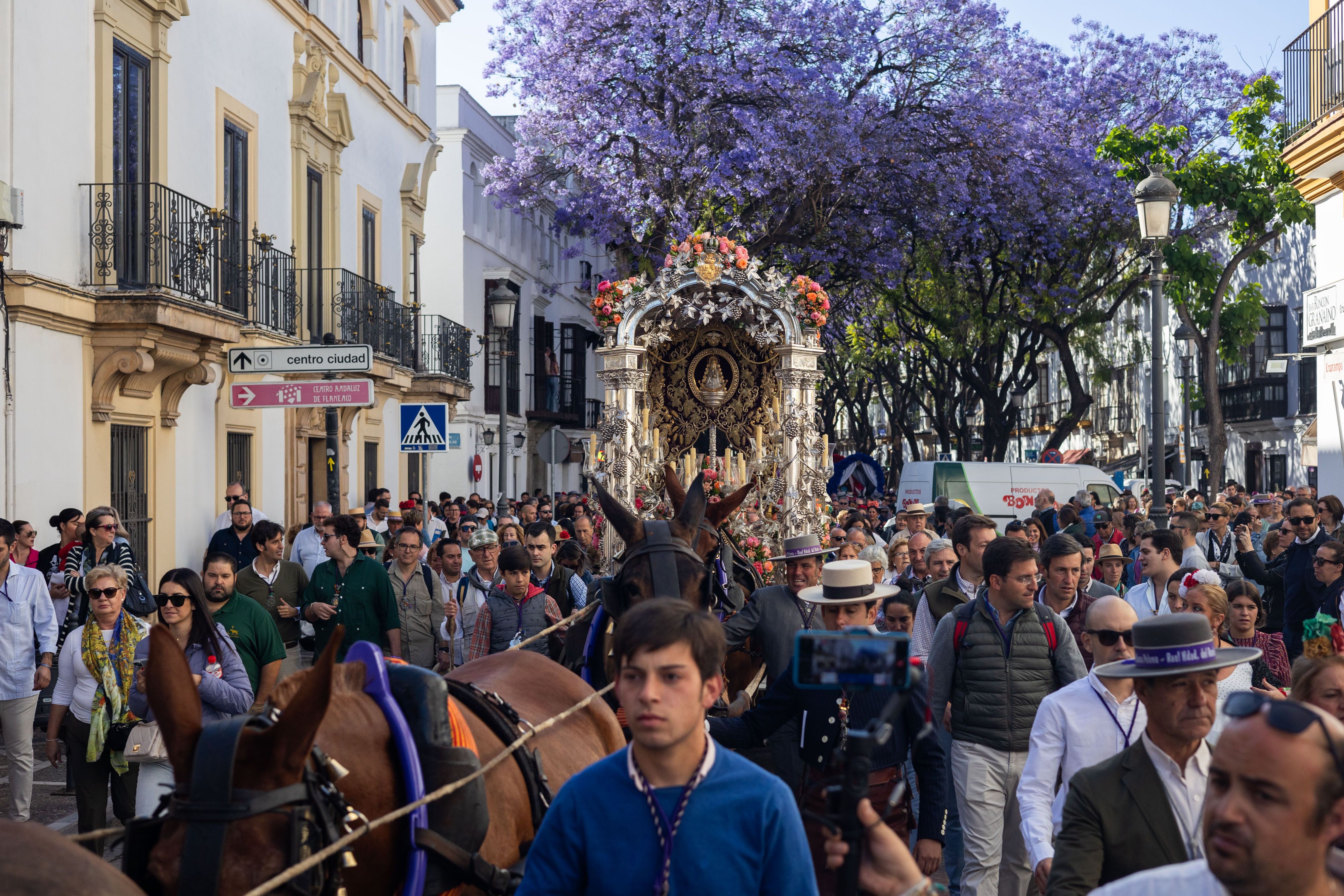 2.300 rocieros jerezanos, de camino al Rocío. La carreta del simpecado en la Porvera, dejando atrás las moradas jacarandas. 2.300 rocieros jerezanos, de camino al Rocío. La carreta del simpecado en la Porvera, dejando atrás las moradas jacarandas.