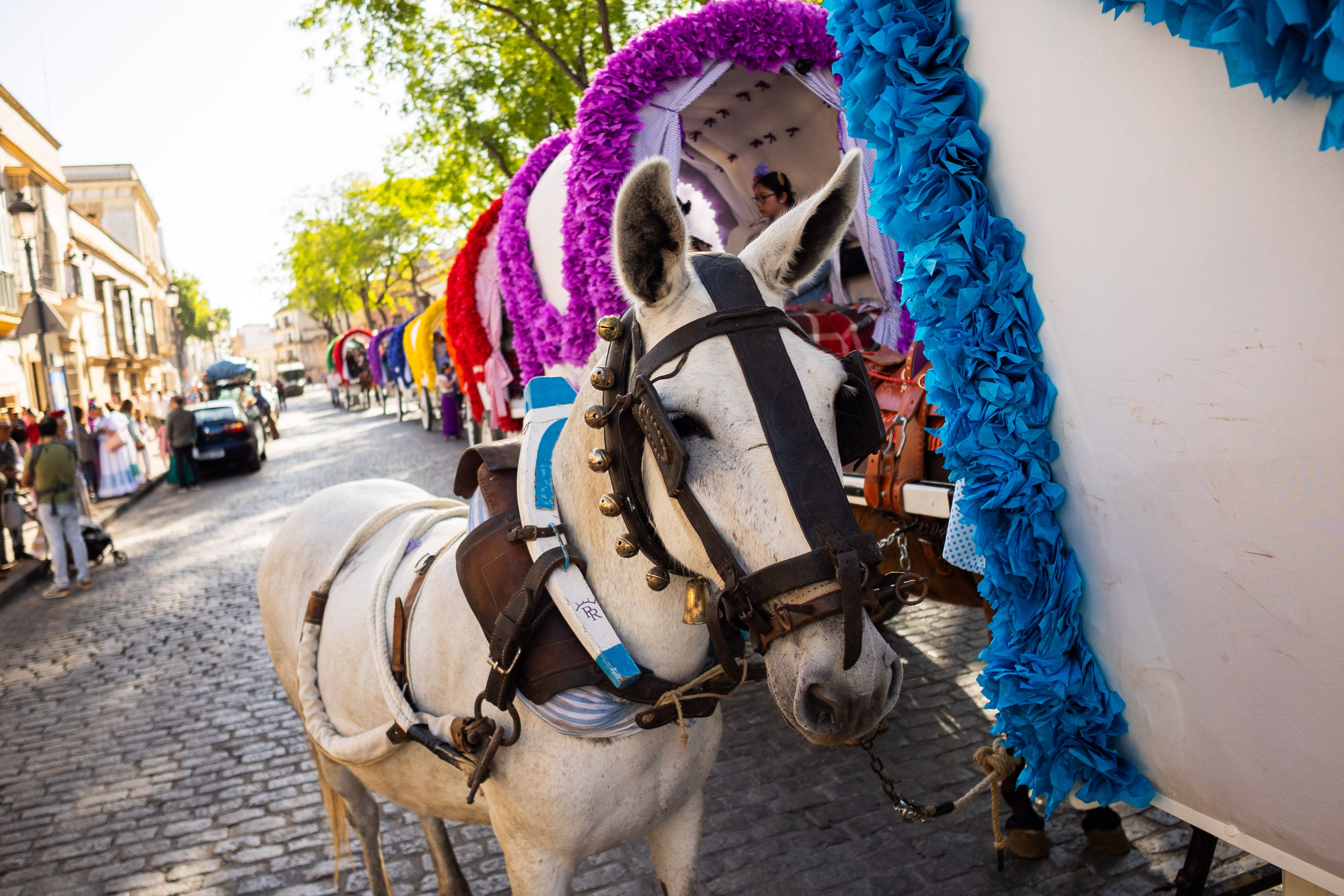 Los romeros de Jerez ya caminan rumbo al Rocío