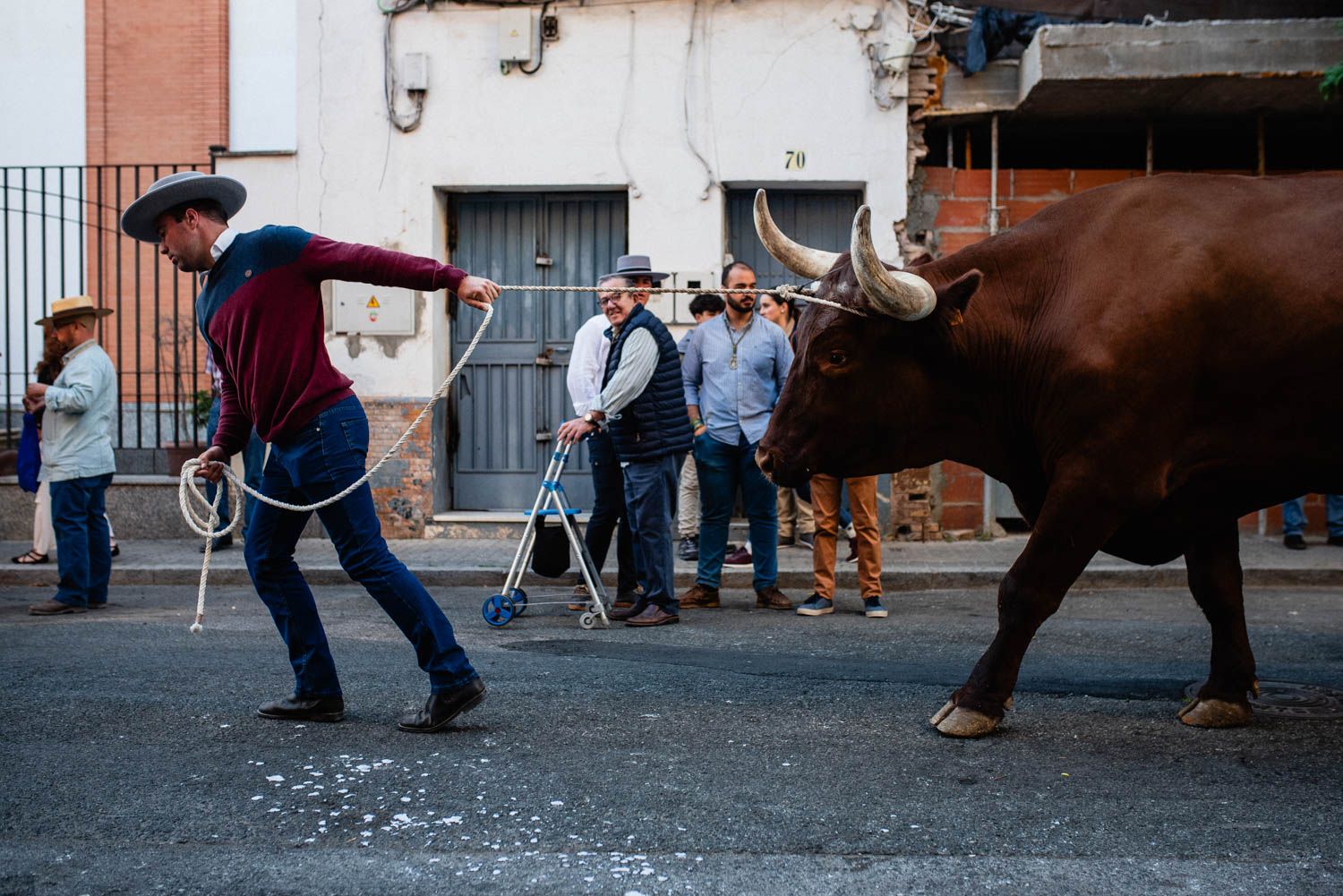 La salida de la Hermandad del Cerro hacia El Rocío, en imágenes.