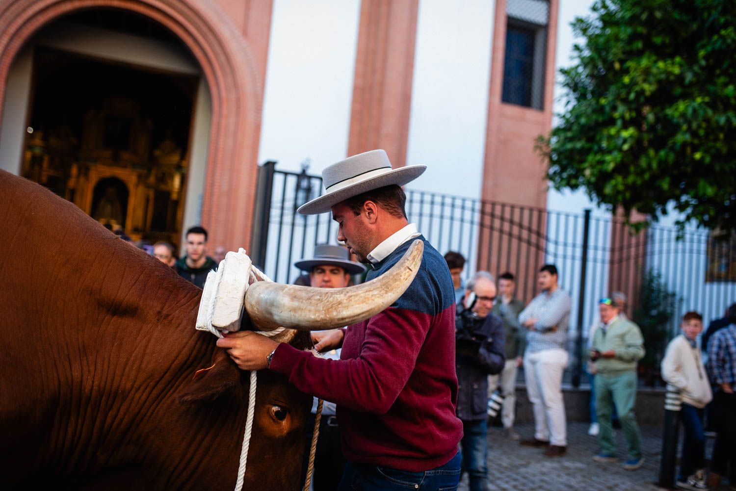 La salida de la Hermandad del Cerro hacia El Rocío, en imágenes.