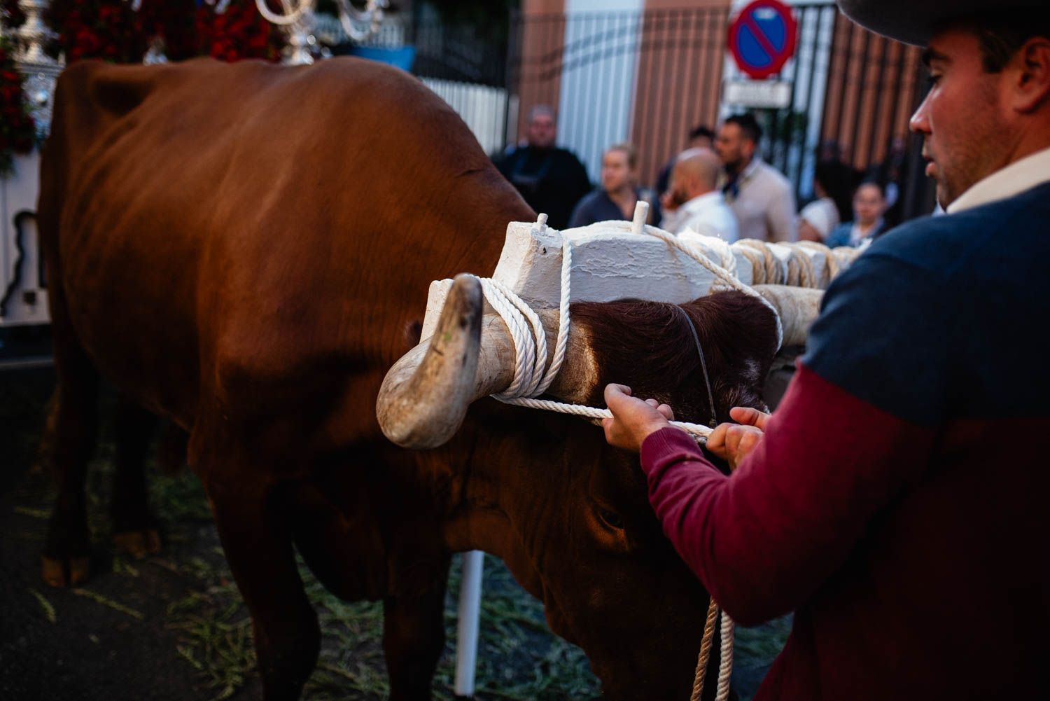 La salida de la Hermandad del Cerro hacia El Rocío, en imágenes.