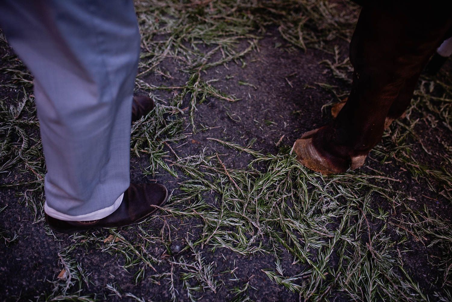 La salida de la Hermandad del Cerro hacia El Rocío, en imágenes.