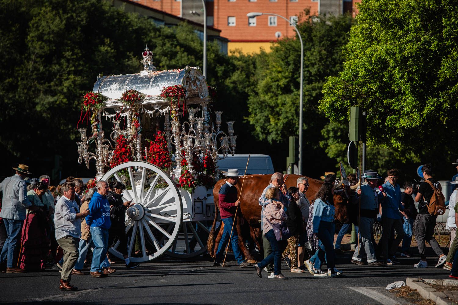 La salida de la Hermandad del Cerro hacia El Rocío, en imágenes.