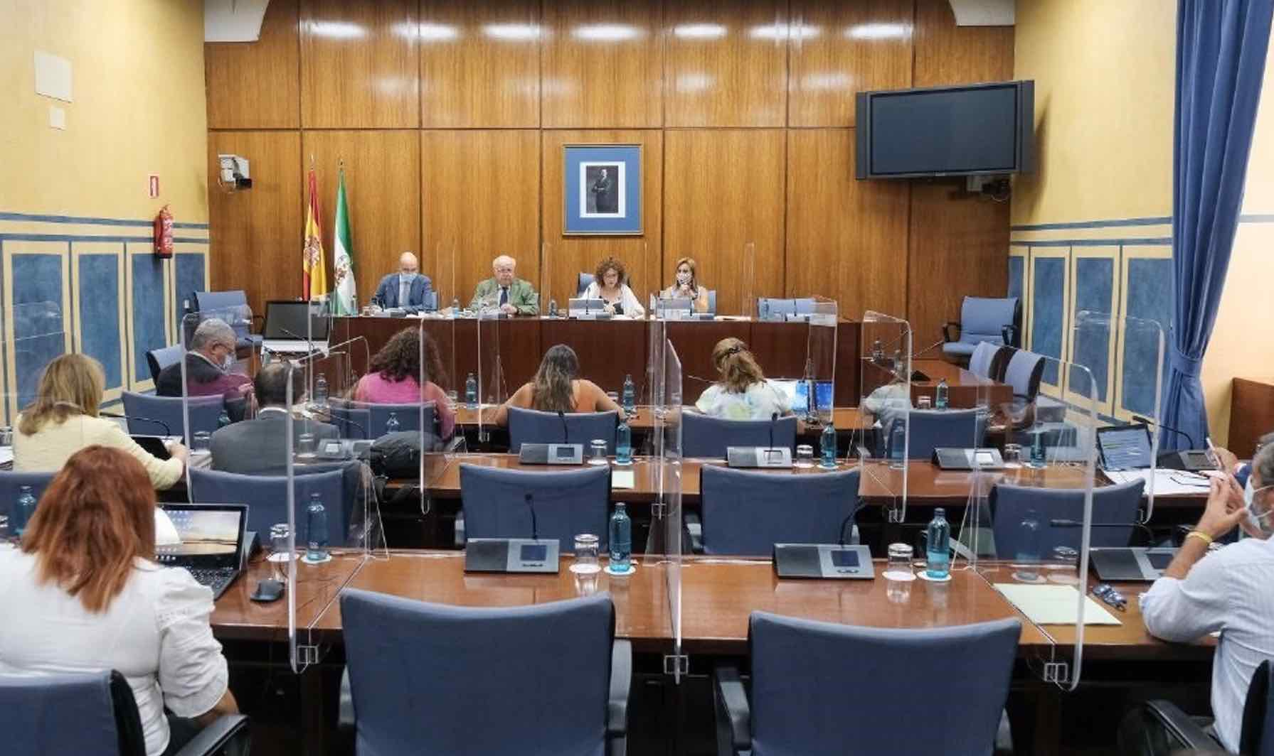 Comparecencia del consejero de Salud y Familias, Jesús Aguirre, en comisión parlamentaria. FOTO: PARLAMENTO