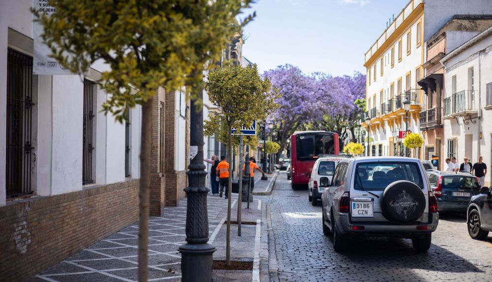 ARBOLES NUEVOS CALLE PORVERA 012