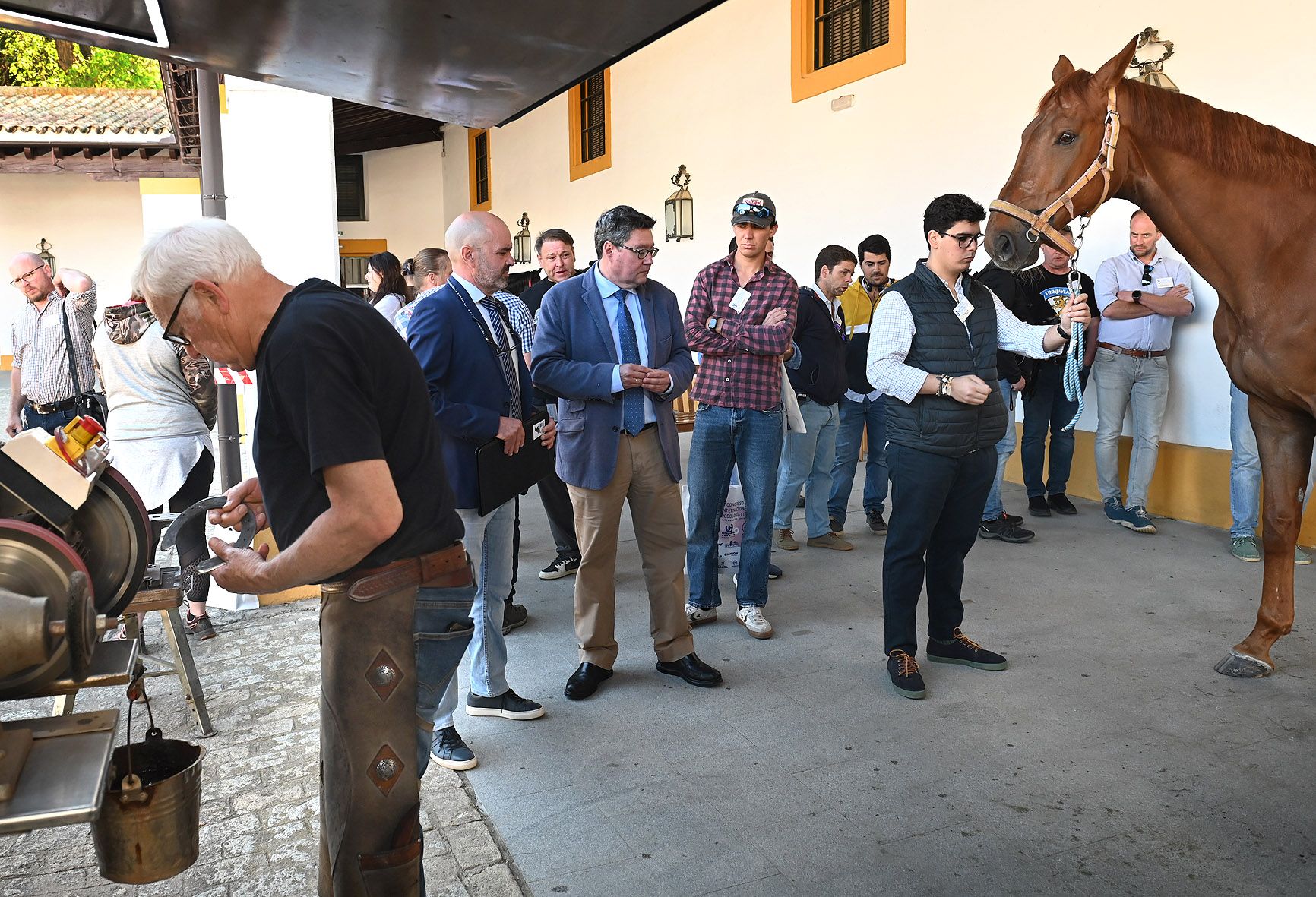 Participantes en el Congreso Internacional Podologia Equina en la Real Escuela. 