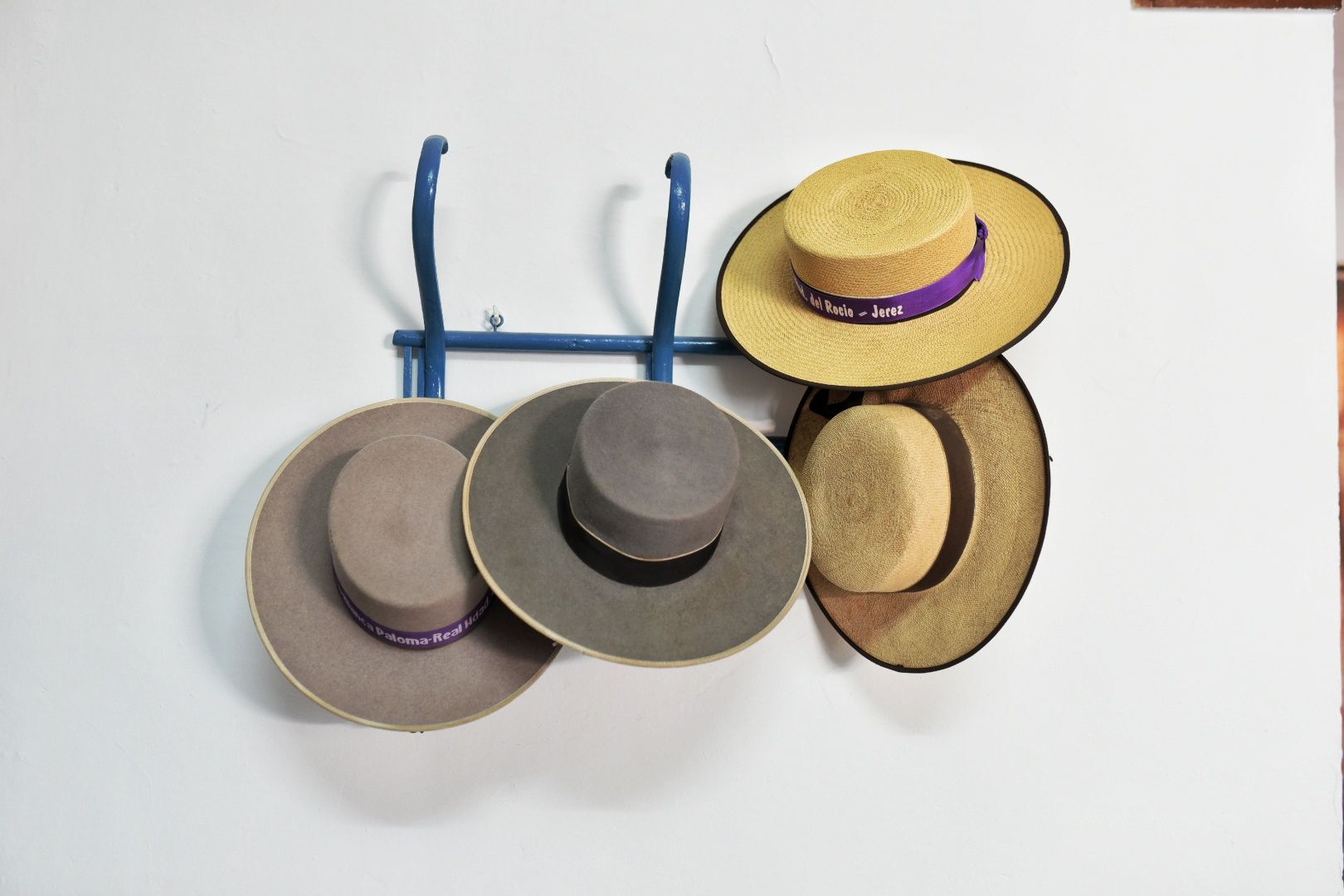 Domingo de Romería de la Hermandad de Jerez en El Rocío.