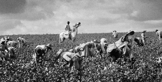 Retrato de la un campo de algodón, por Ramón Masats.